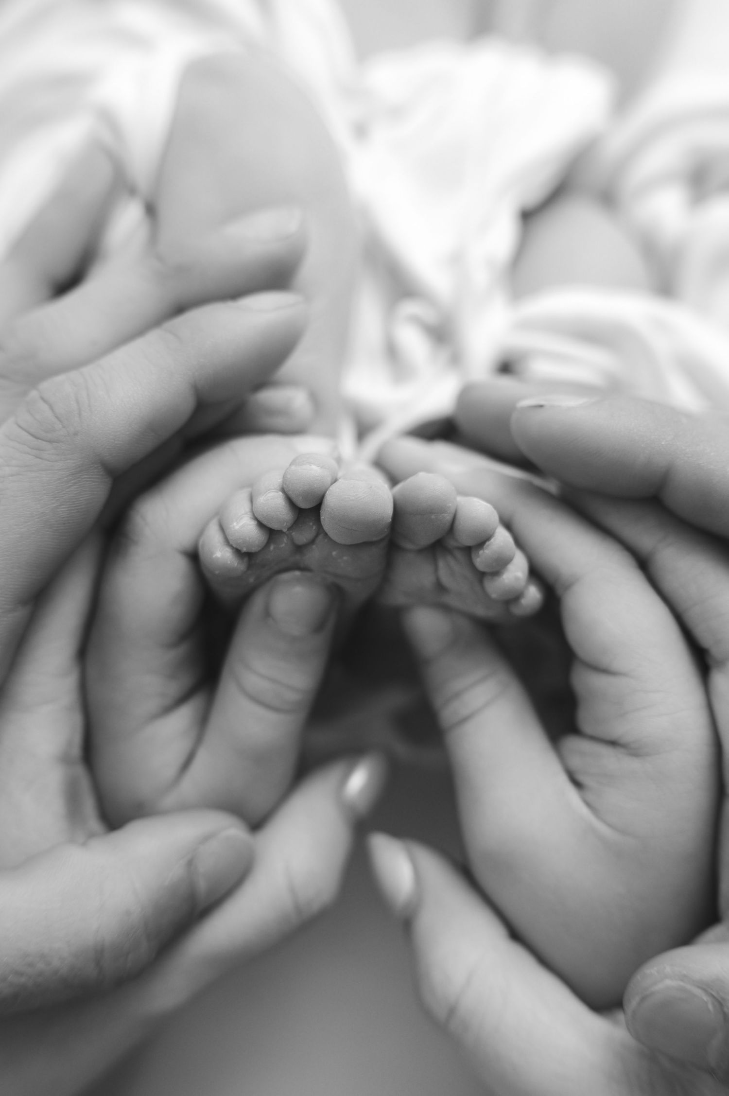 Black and white photo of adult hands cradling tiny newborn baby feet, symbolizing love and new parenthood.