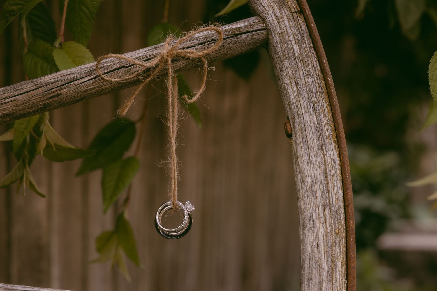 Two silver wedding rings hang from a rustic wooden branch against a blurred natural background.