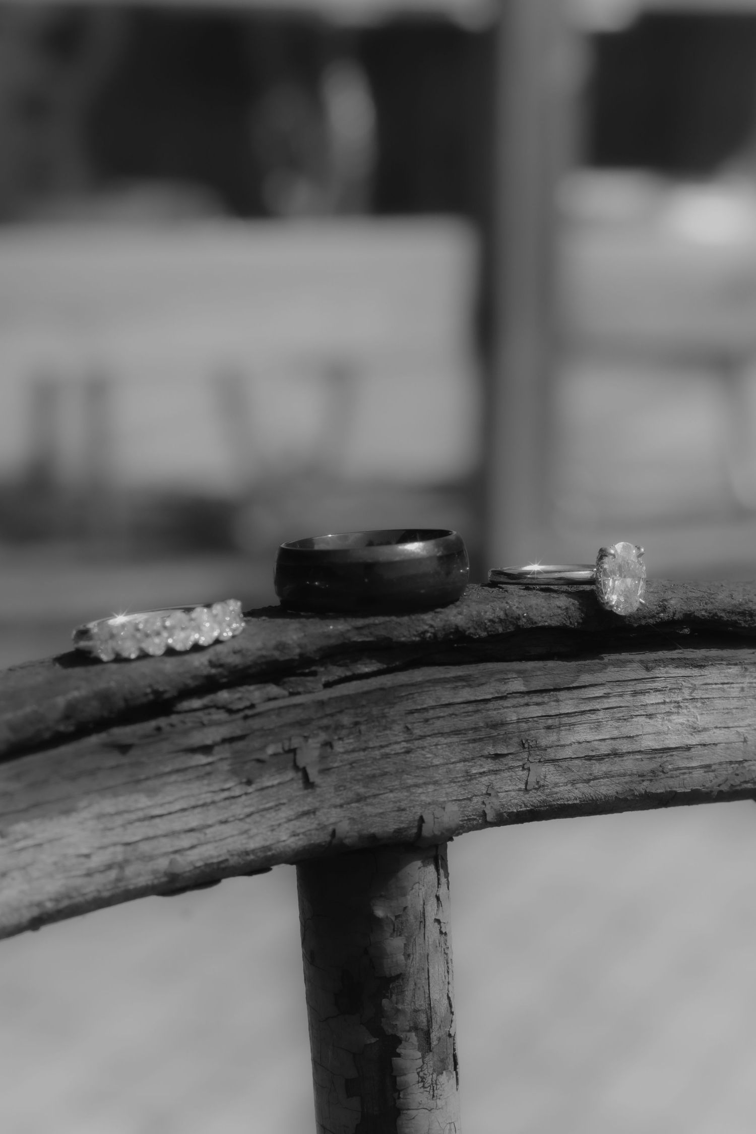 Close-up black and white photograph shows water droplets lined up along a curved wooden surface or branch.
