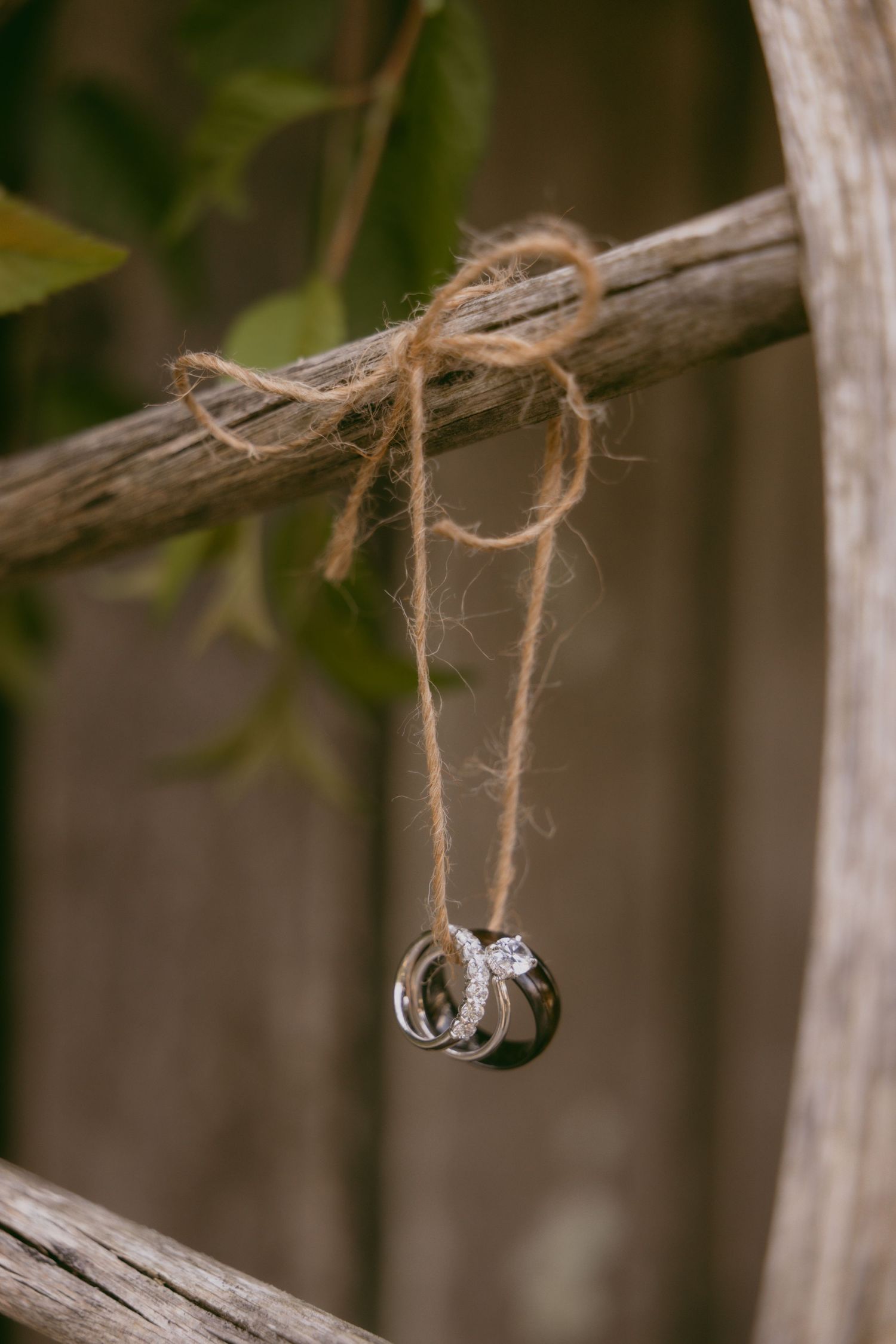 Two wedding rings hanging by rustic twine on a wooden branch in a creative wedding detail photo.