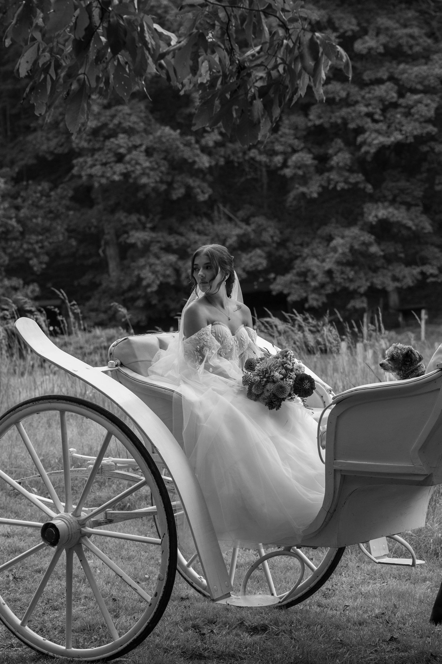 A bride in a white wedding dress sits elegantly in a vintage horse-drawn carriage on a grassy lawn.