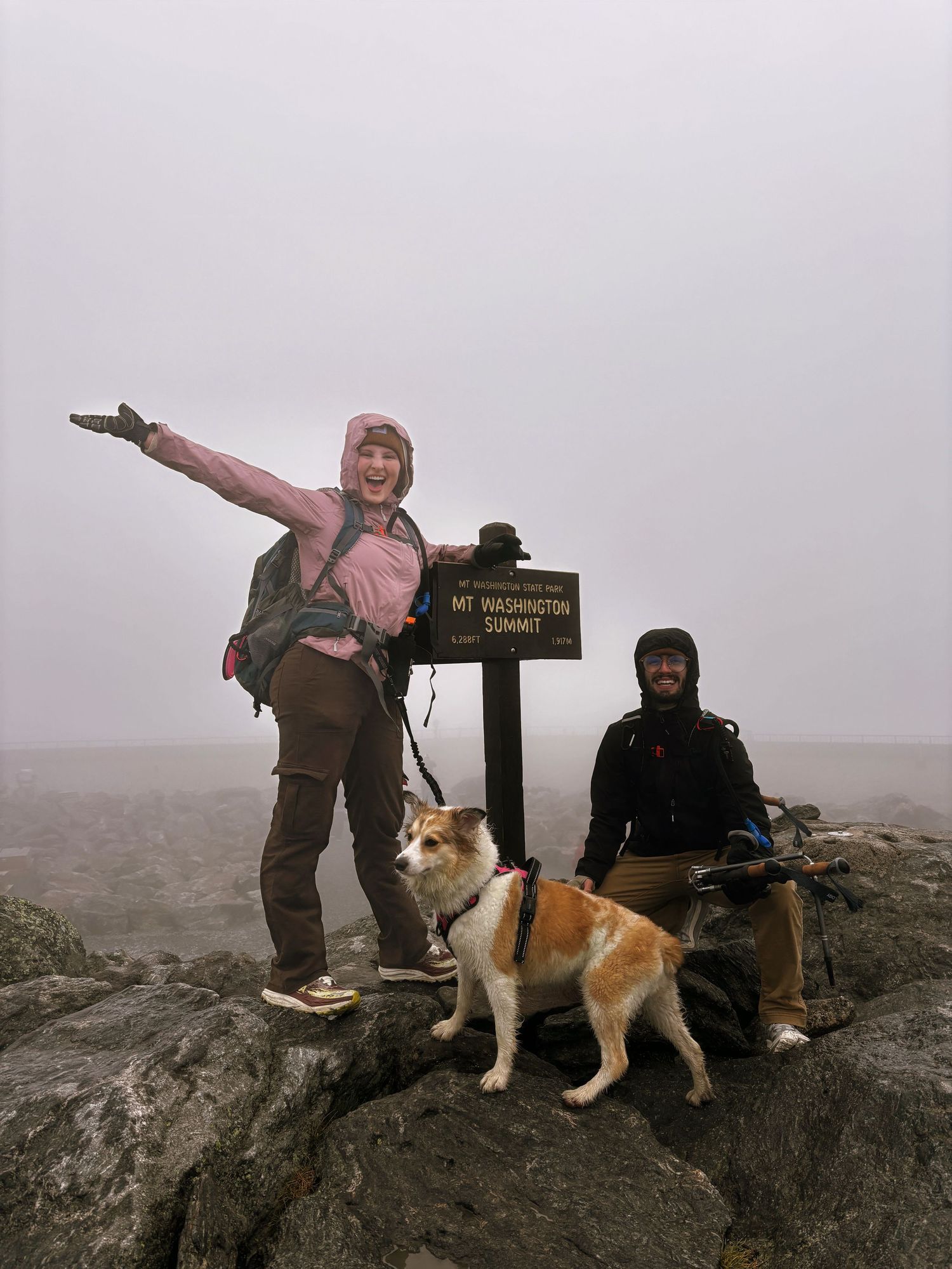 Hiker and dog share four joyful poses at a misty mountain summit near a trail marker on a cloudy day.