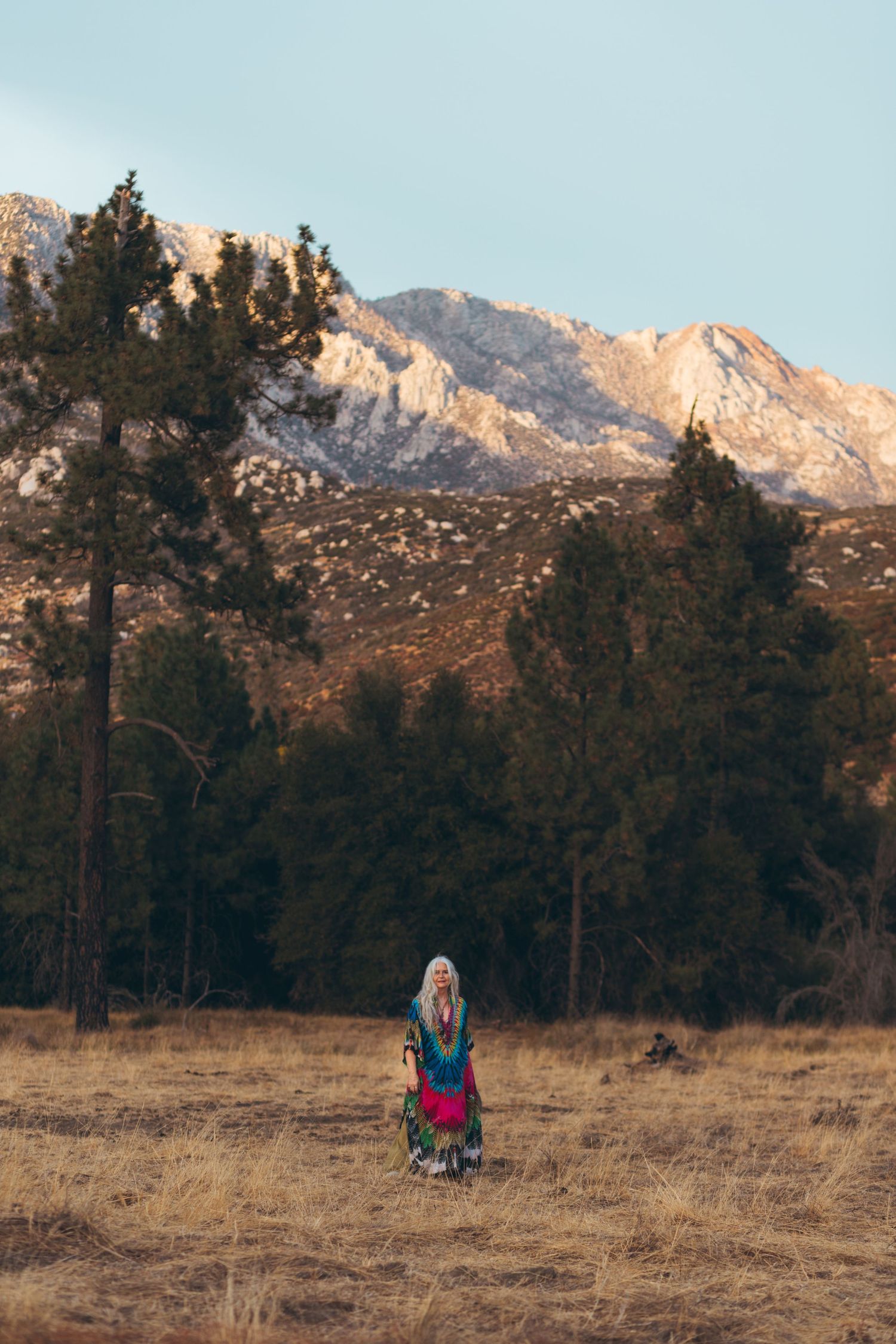 Distant figure stands in field against mountain landscape with evergreen trees.
