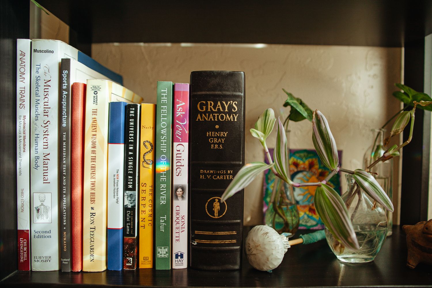 Bookshelf with Gray's Anatomy book and glass vase containing flowers and plant cuttings.