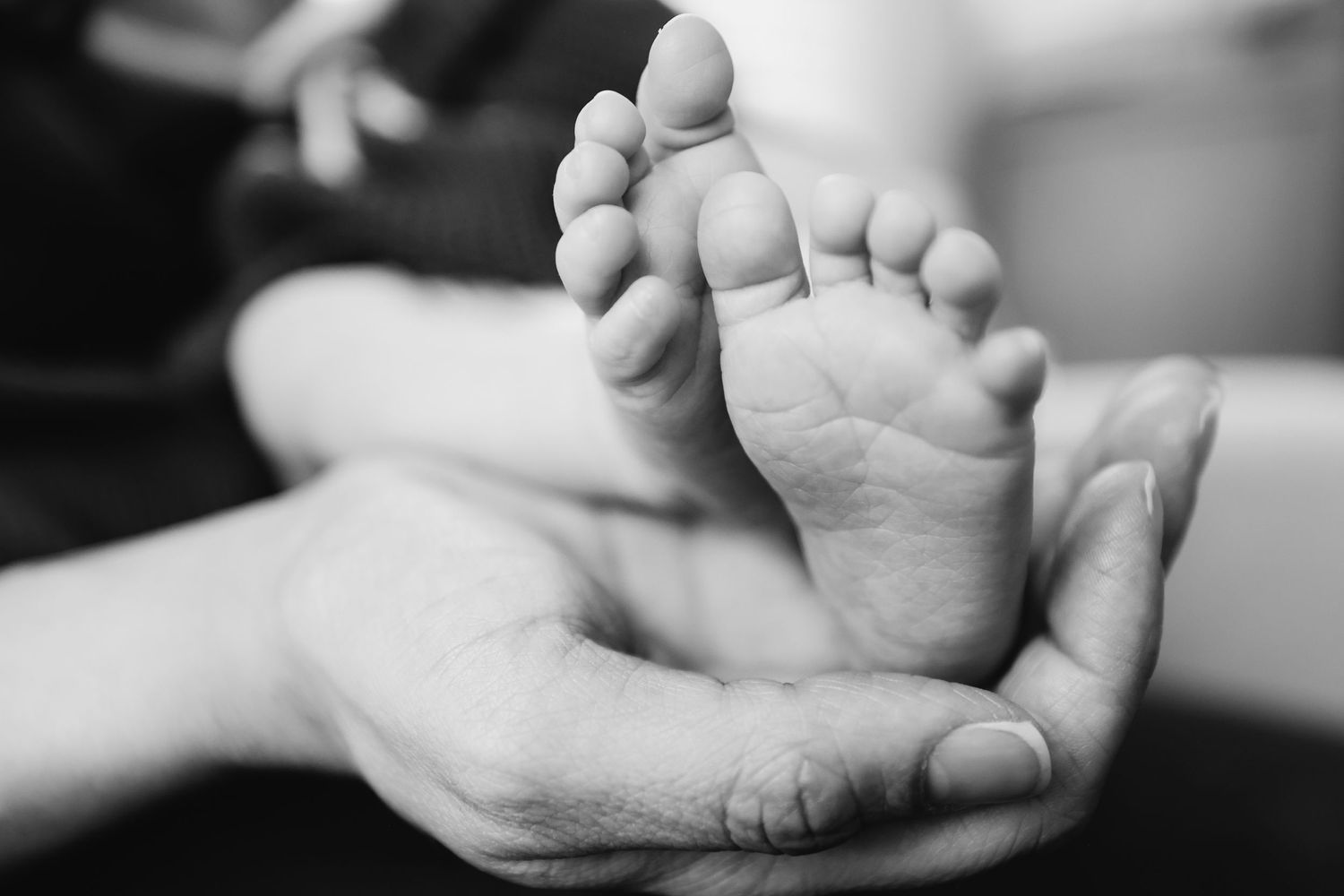 Close up black and white photo of tiny baby feet cradled in adult hands.