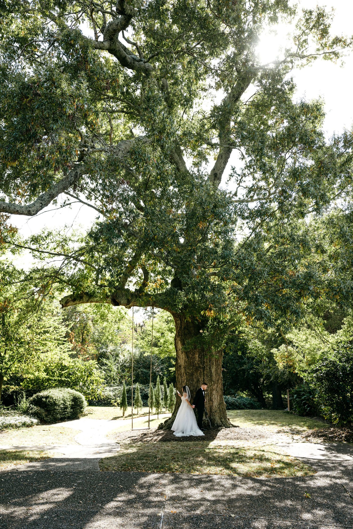 Bride in white gown stands beneath a massive sunlit oak tree in a garden durning Church Point Manor wedding in Virginia Beach.