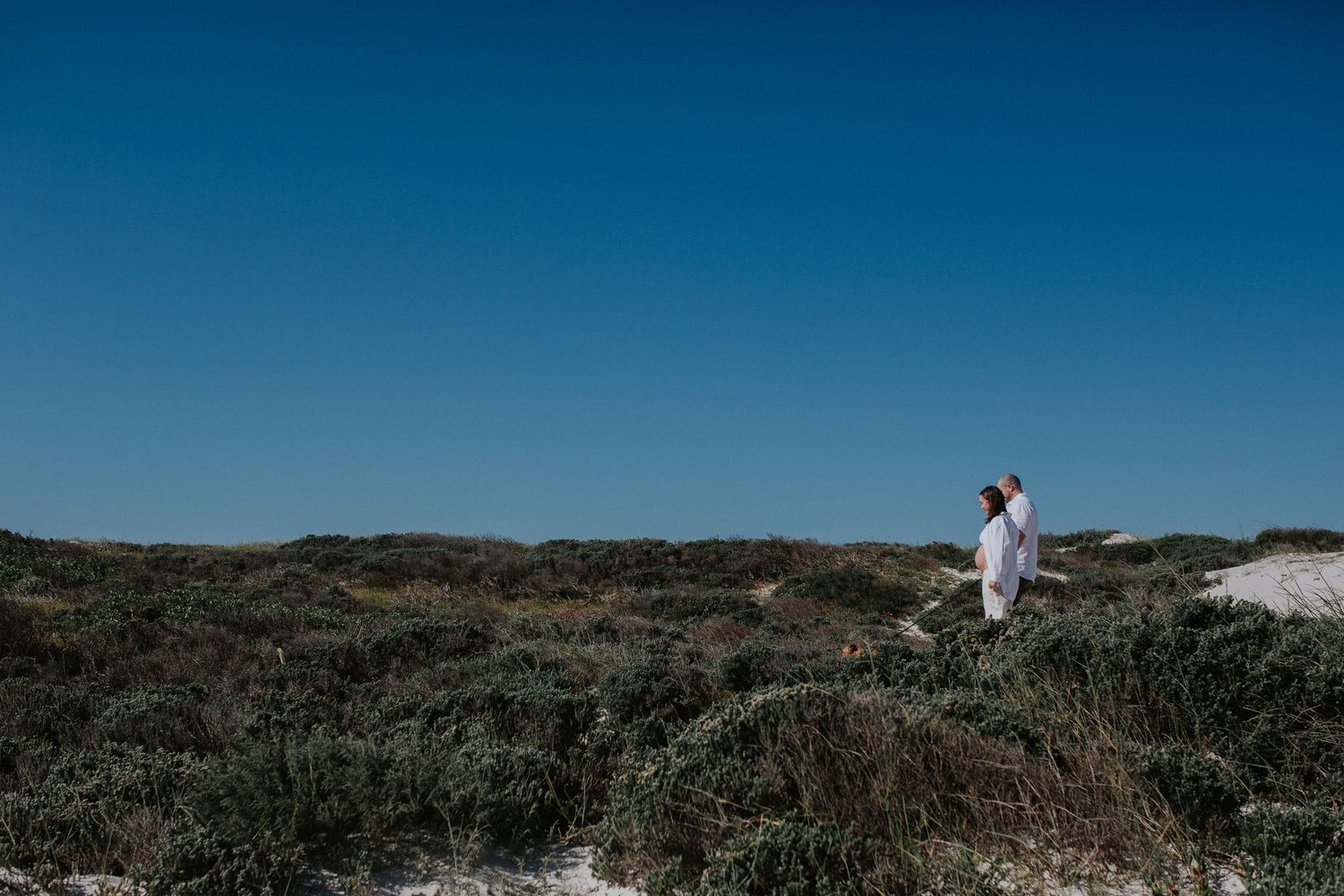 Couple walk their dog in the dunes at the beach