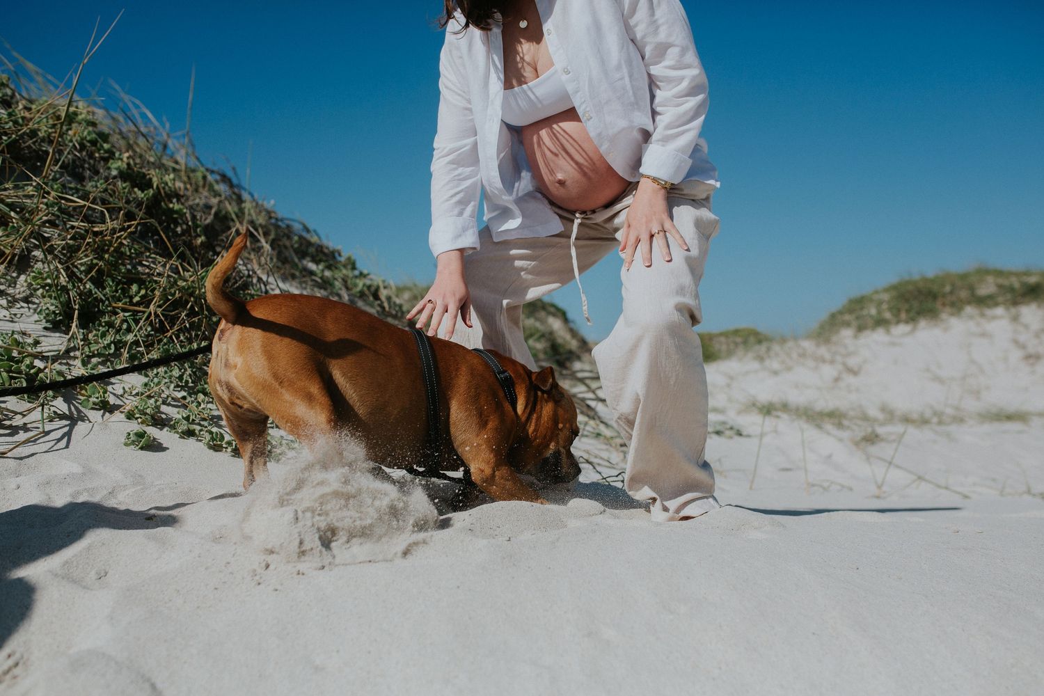 woman reaches down to pet dog digging in the sand at their beach maternity shoot