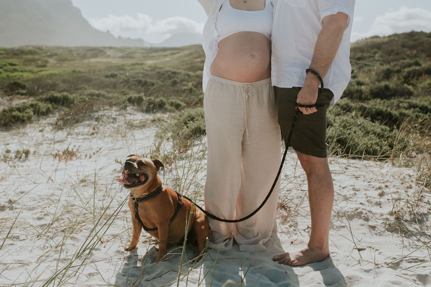 Maternity shoot with dog at the beach