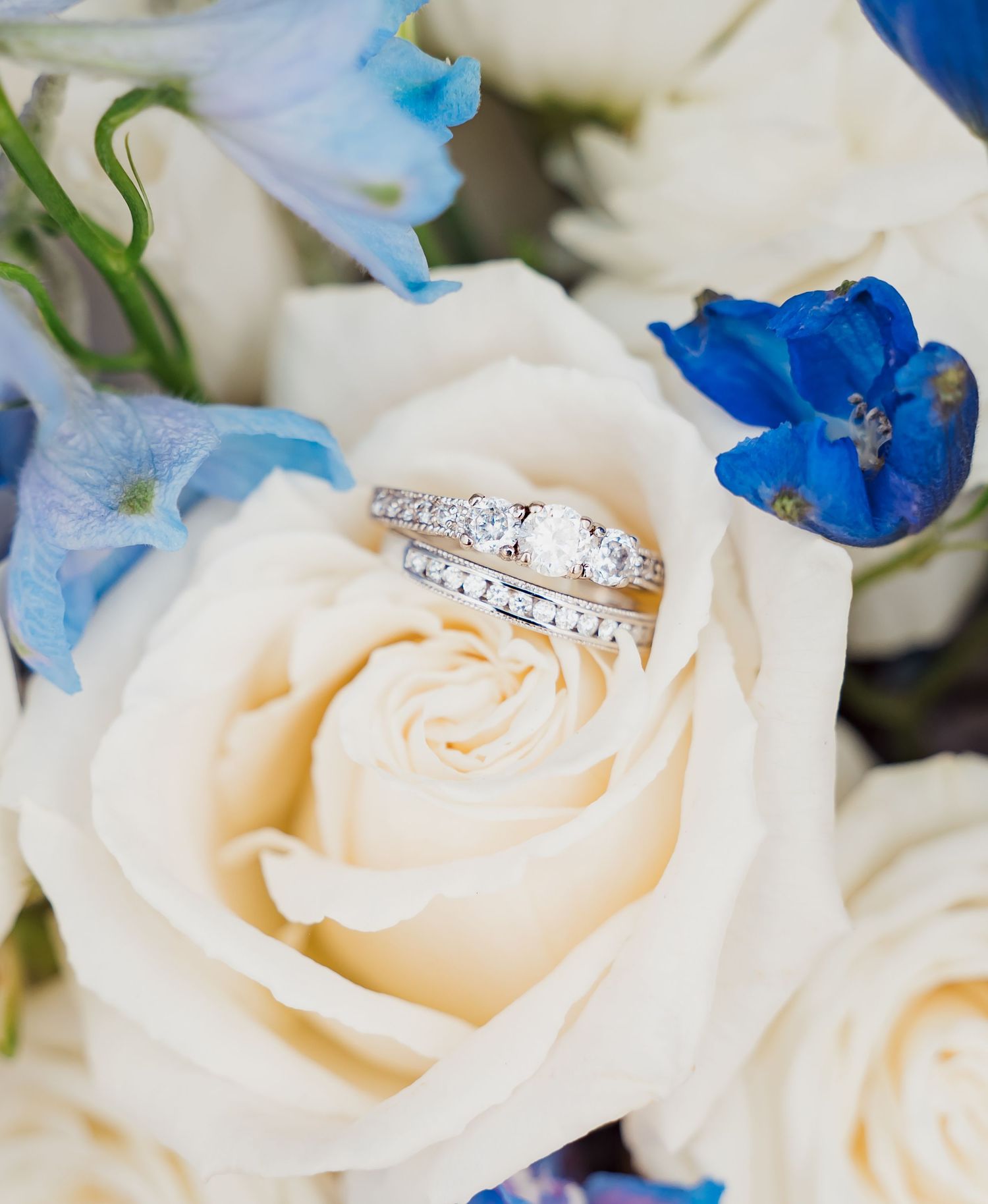 ring shot