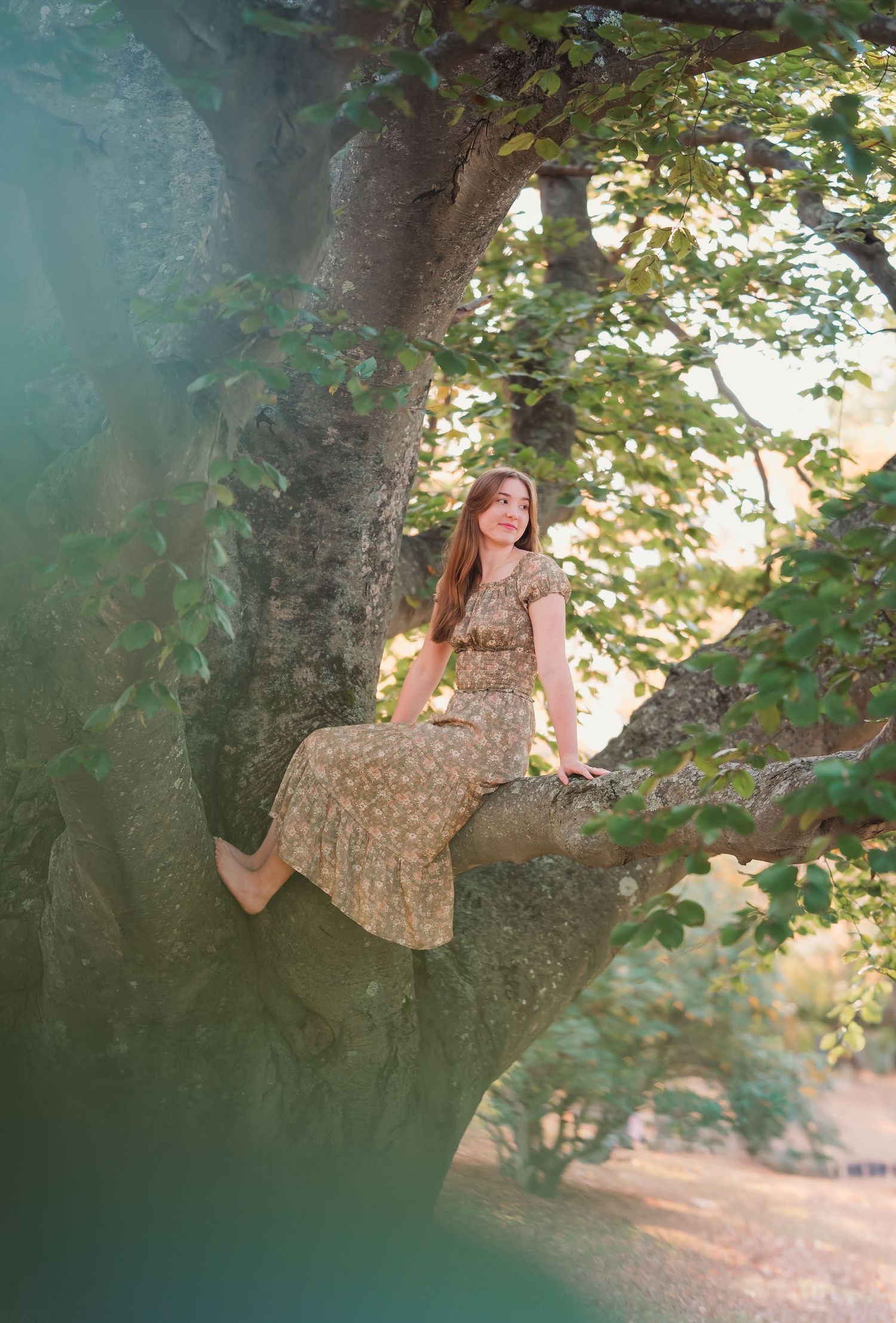 Senior portraits