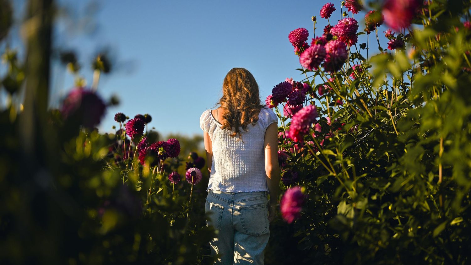 A couple embraces in a garden with vibrant pink flowers and greenery in the background during golden hour.