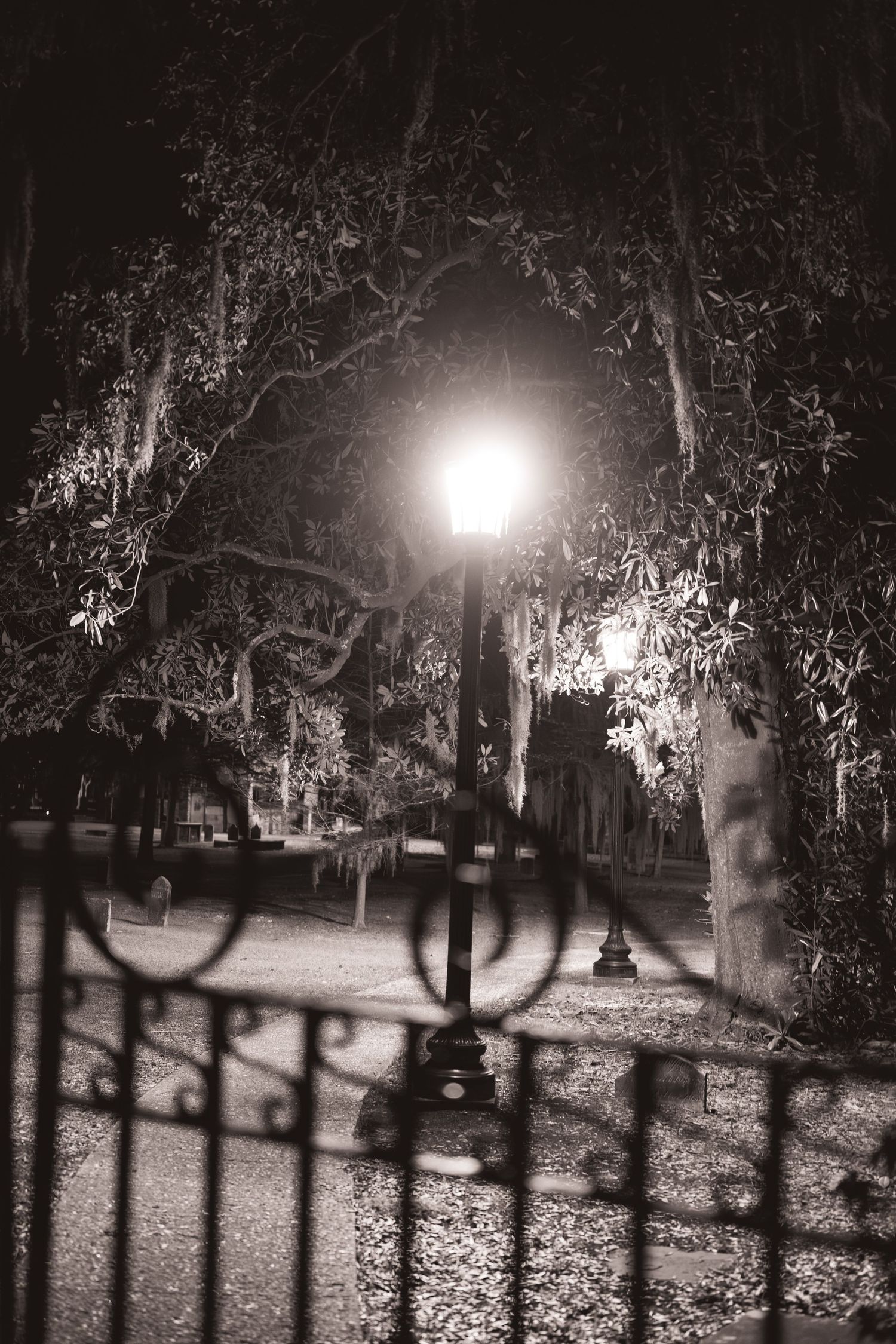 Lamp posts illuminate a dark path through trees at night creating an eerie atmospheric scene.