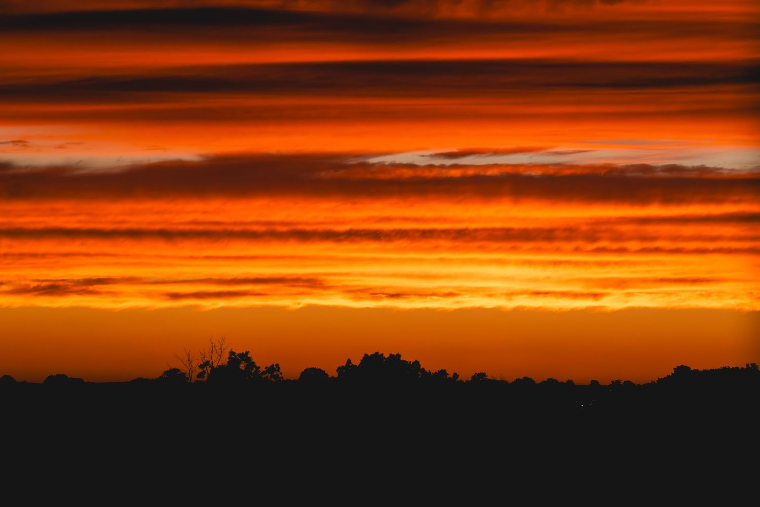 Vibrant orange and red sunset sky with dramatic cloud layers silhouetting dark tree line on horizon.