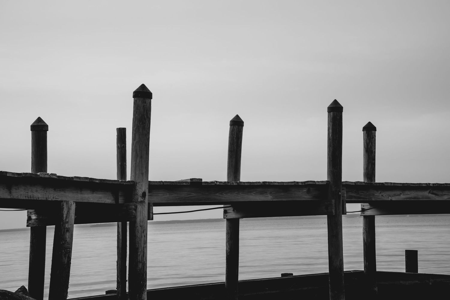 Black and white photo of weathered wooden dock pilings along a calm waterfront under an overcast sky.