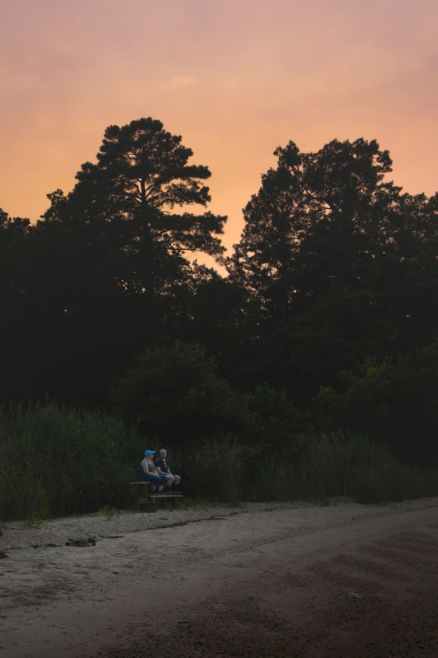 Two people sitting on a bench at dusk, silhouetted trees against a vibrant orange sunset sky near a sandy path.