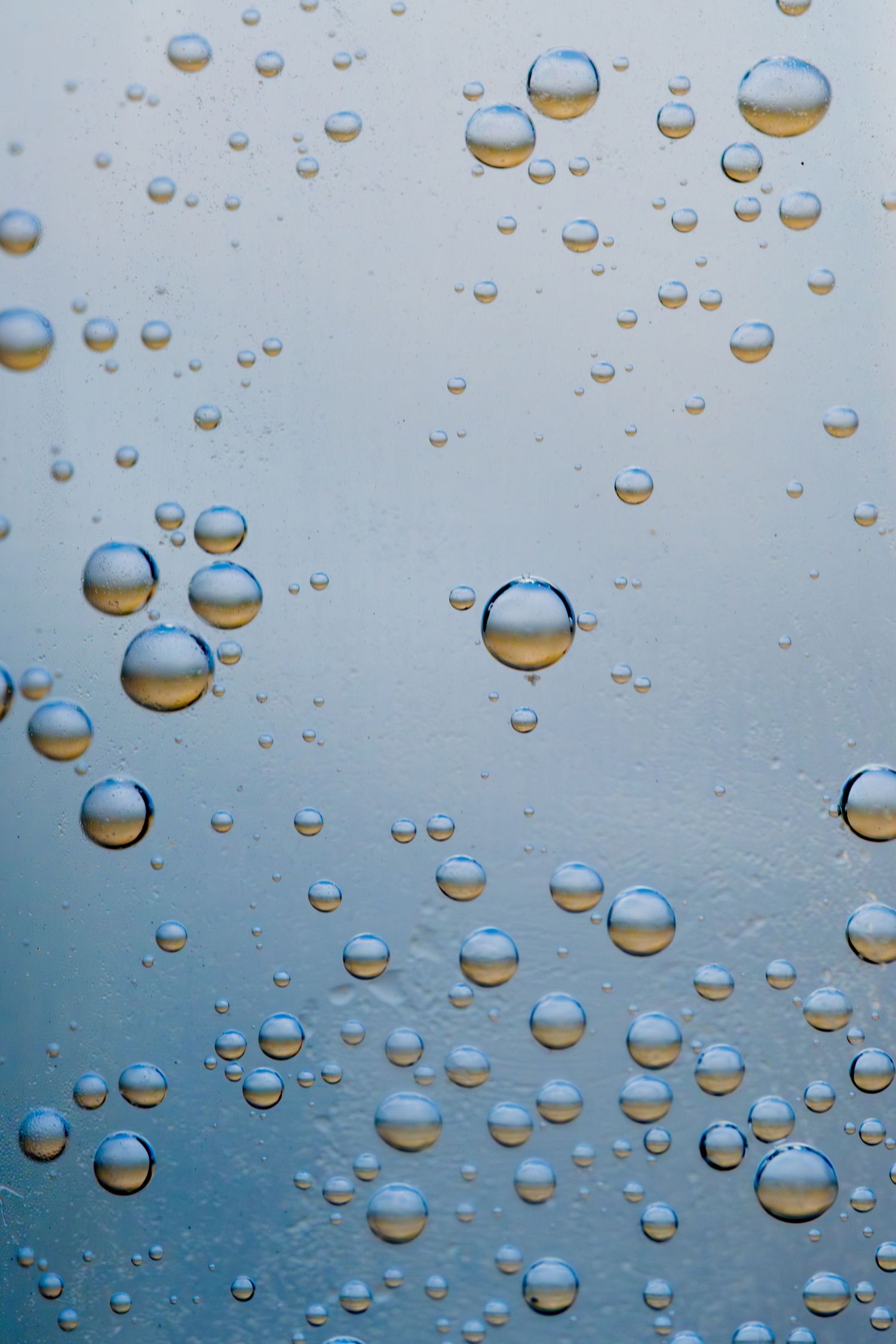 Close-up of translucent water droplets of varying sizes on a blue gradient surface, reflecting light beautifully.