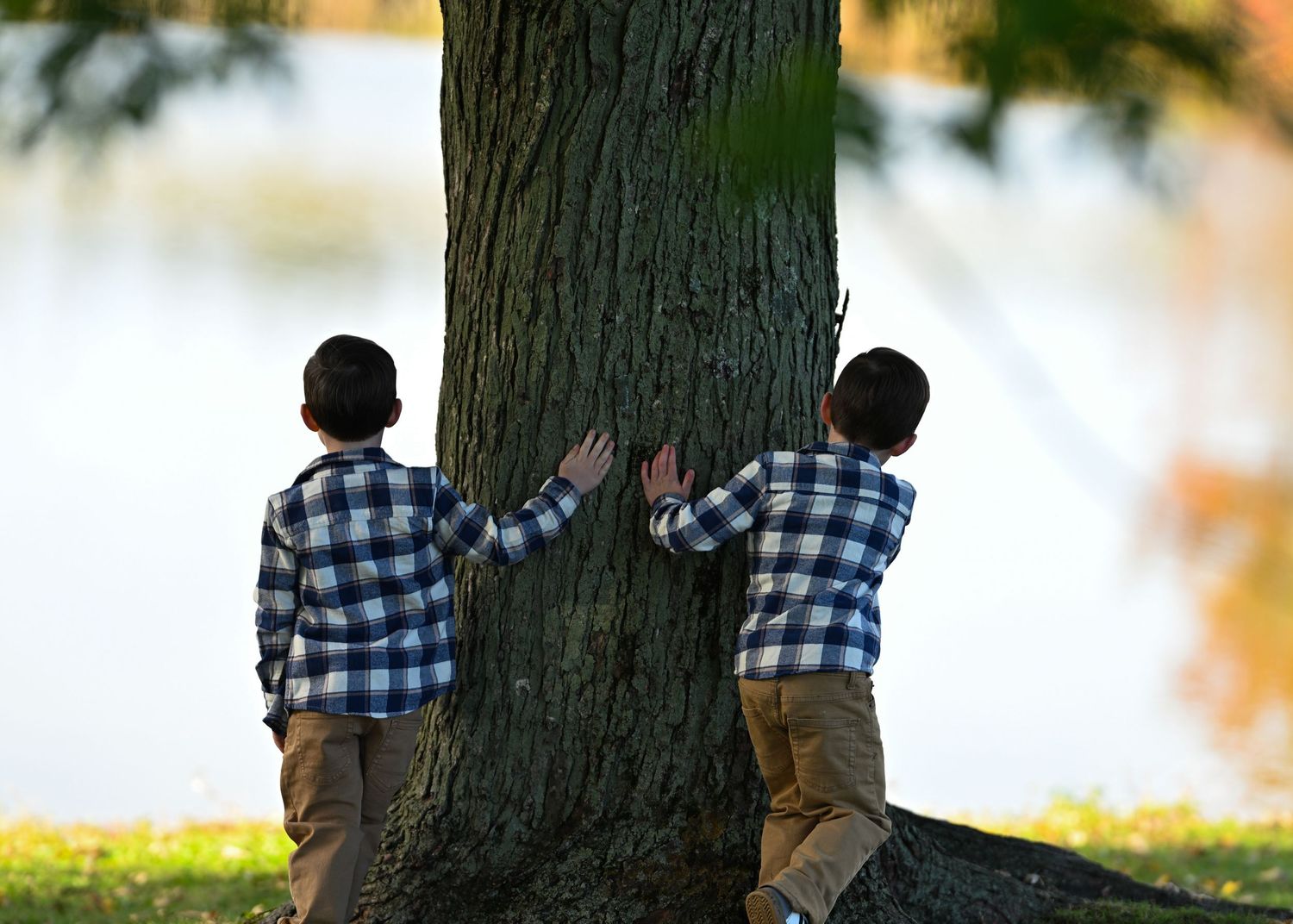 Two young boys in matching plaid shirts hugging a large tree trunk near a lake in autumn.