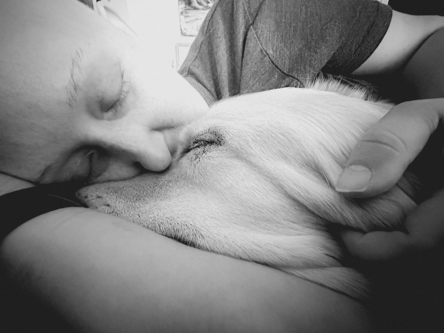 Black and white photo of a person cuddling and nuzzling a white dog, sharing a tender moment.