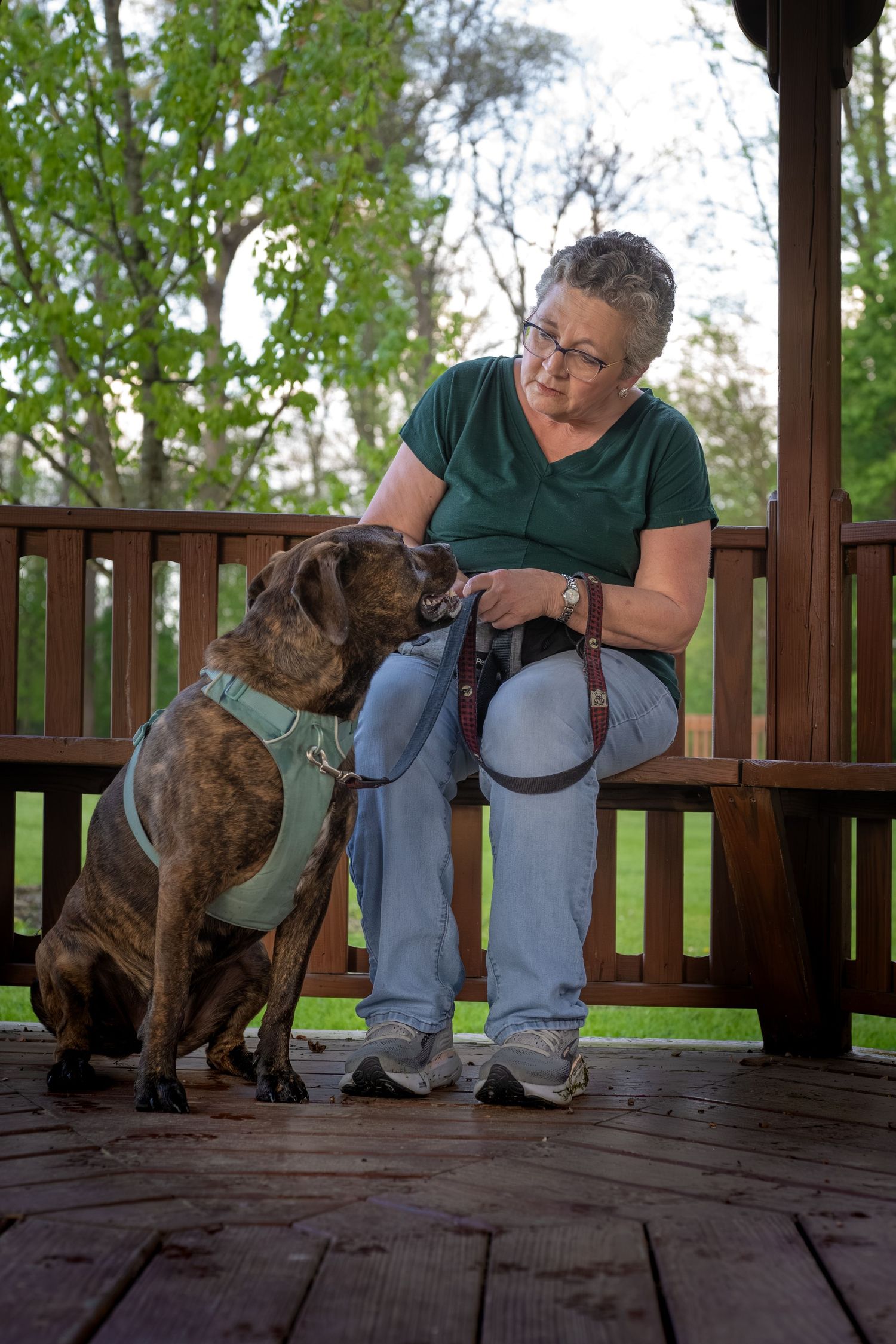 Woman in green shirt sits on wooden deck petting her brindle dog wearing a harness, surrounded by trees.
