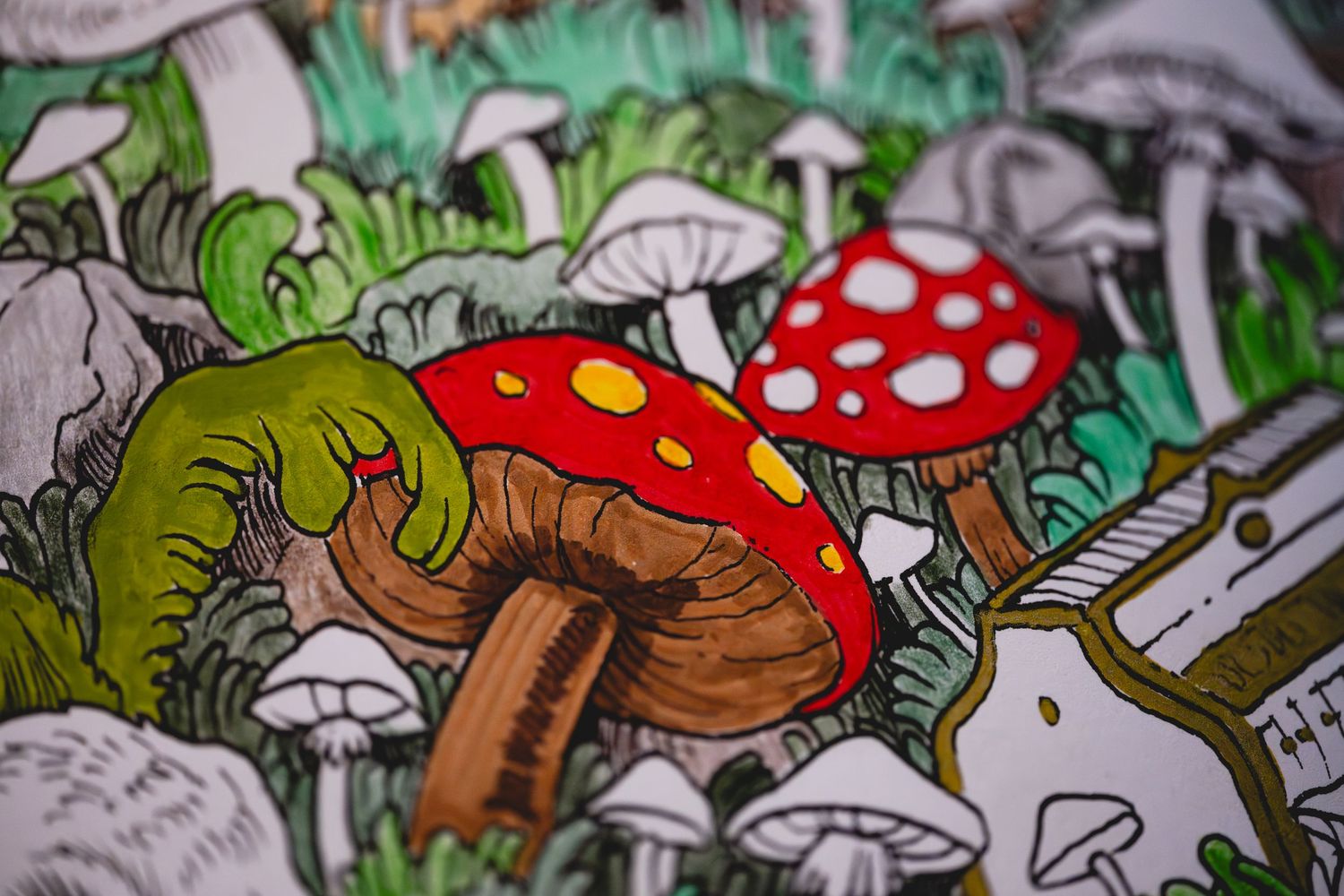 Colorful illustrated artwork featuring red and white spotted mushrooms surrounded by various fungi and green foliage in a detailed drawing.