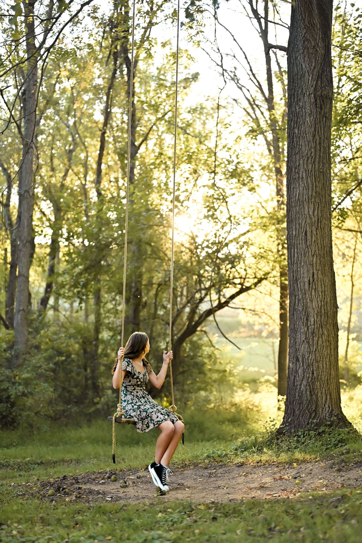 A person swings on a rope swing in a sunlit forest setting with tall trees and dappled golden light filtering through.