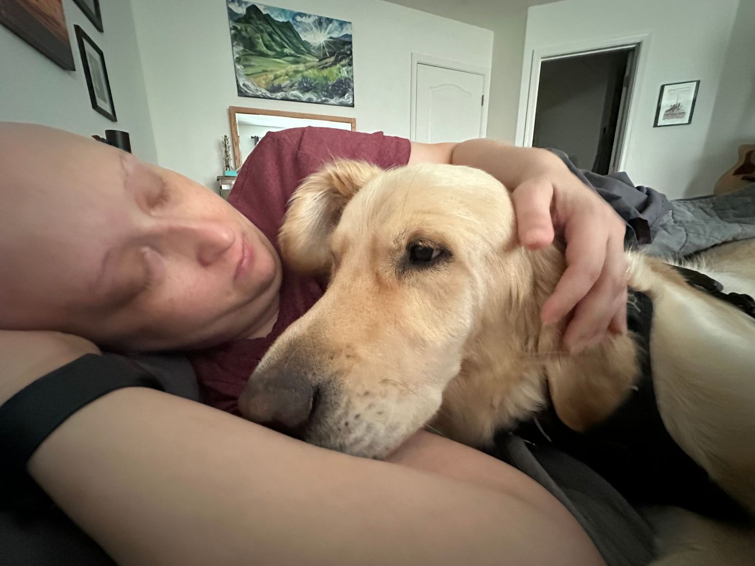 Person cuddling with a golden Labrador dog indoors, sharing a tender moment on a couch.