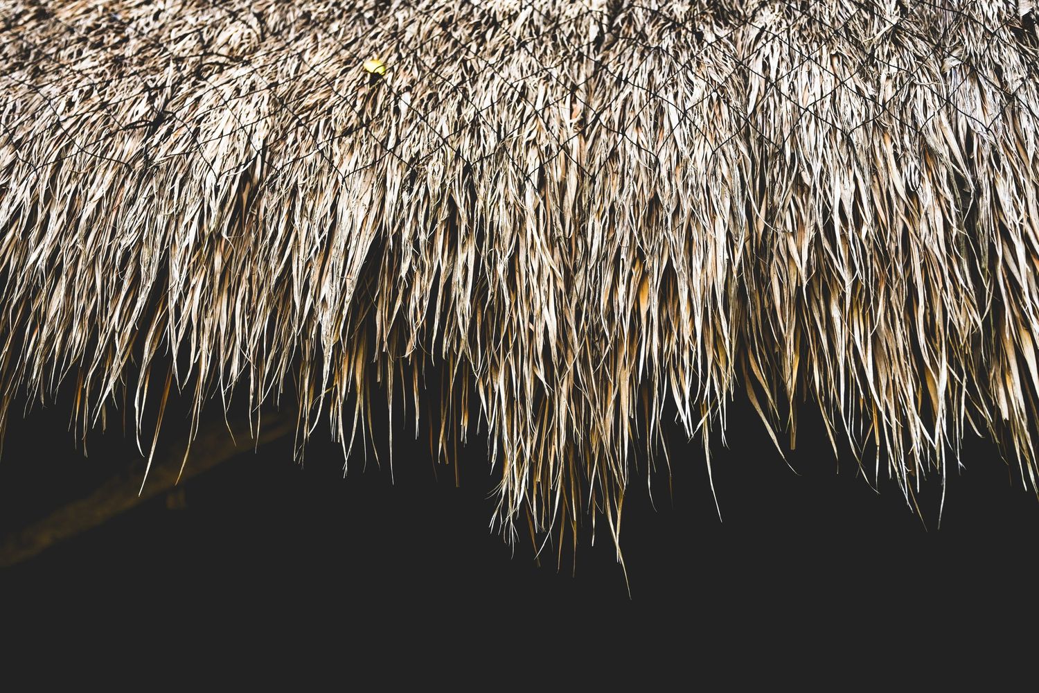 Close-up of a rustic thatched roof with dry straw and palm leaves against a dark background.