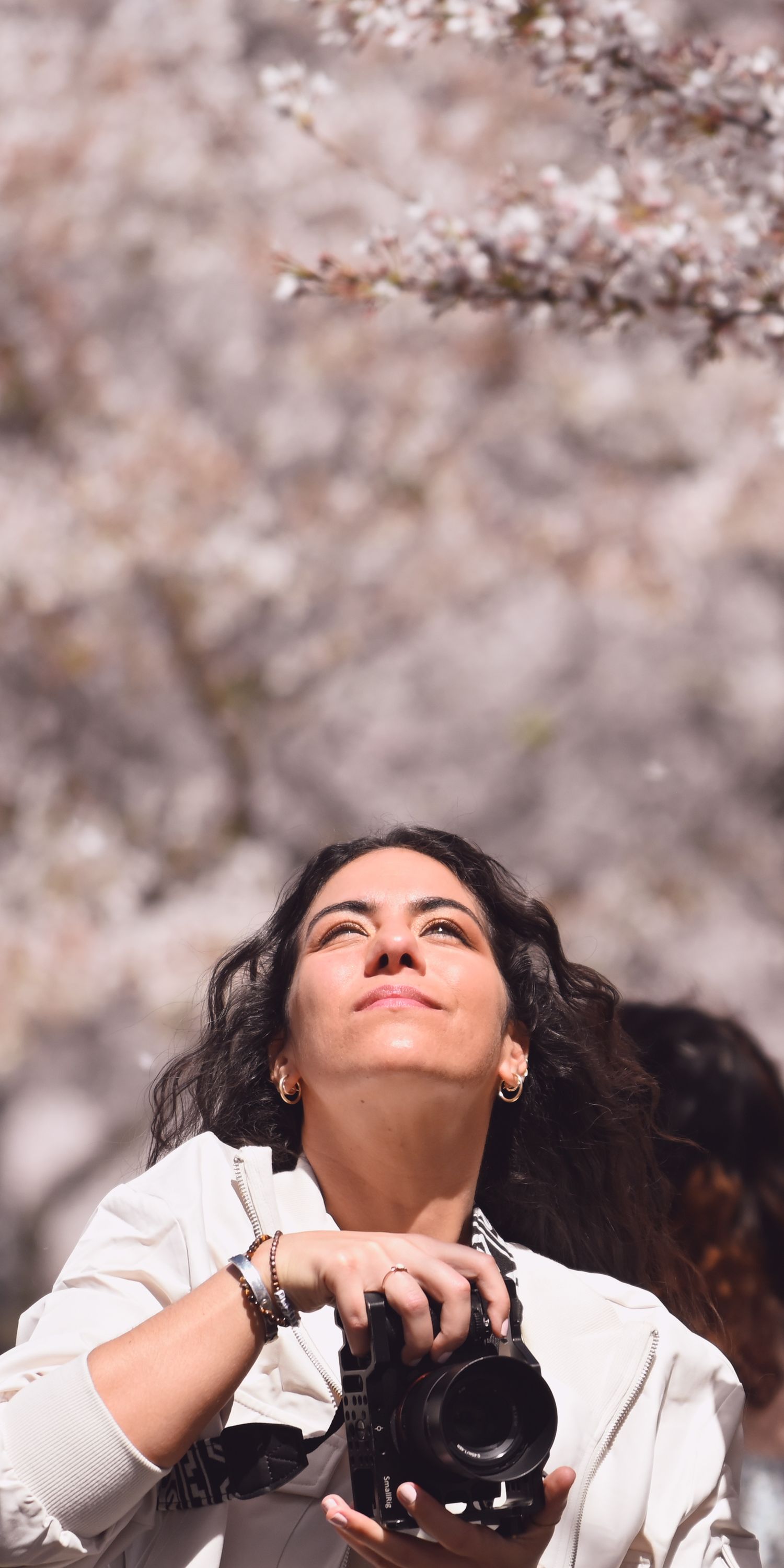 Photographer with camera gazes upward at cherry blossoms in spring while wearing a white shirt.