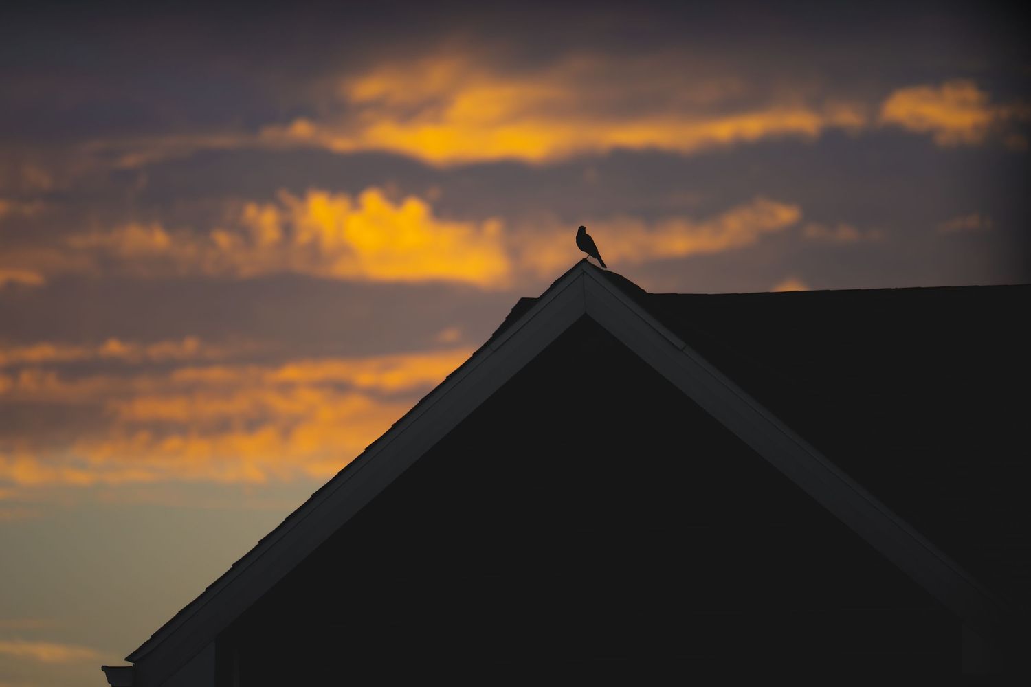 Silhouette of a bird perched on a rooftop peak against a dramatic golden sunset sky with dark clouds.