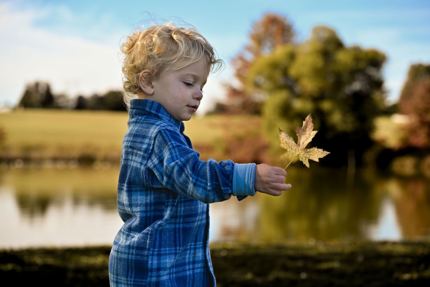 A young child in blue plaid shirt plays outdoors in autumn, reaching towards falling leaves against a natural backdrop.