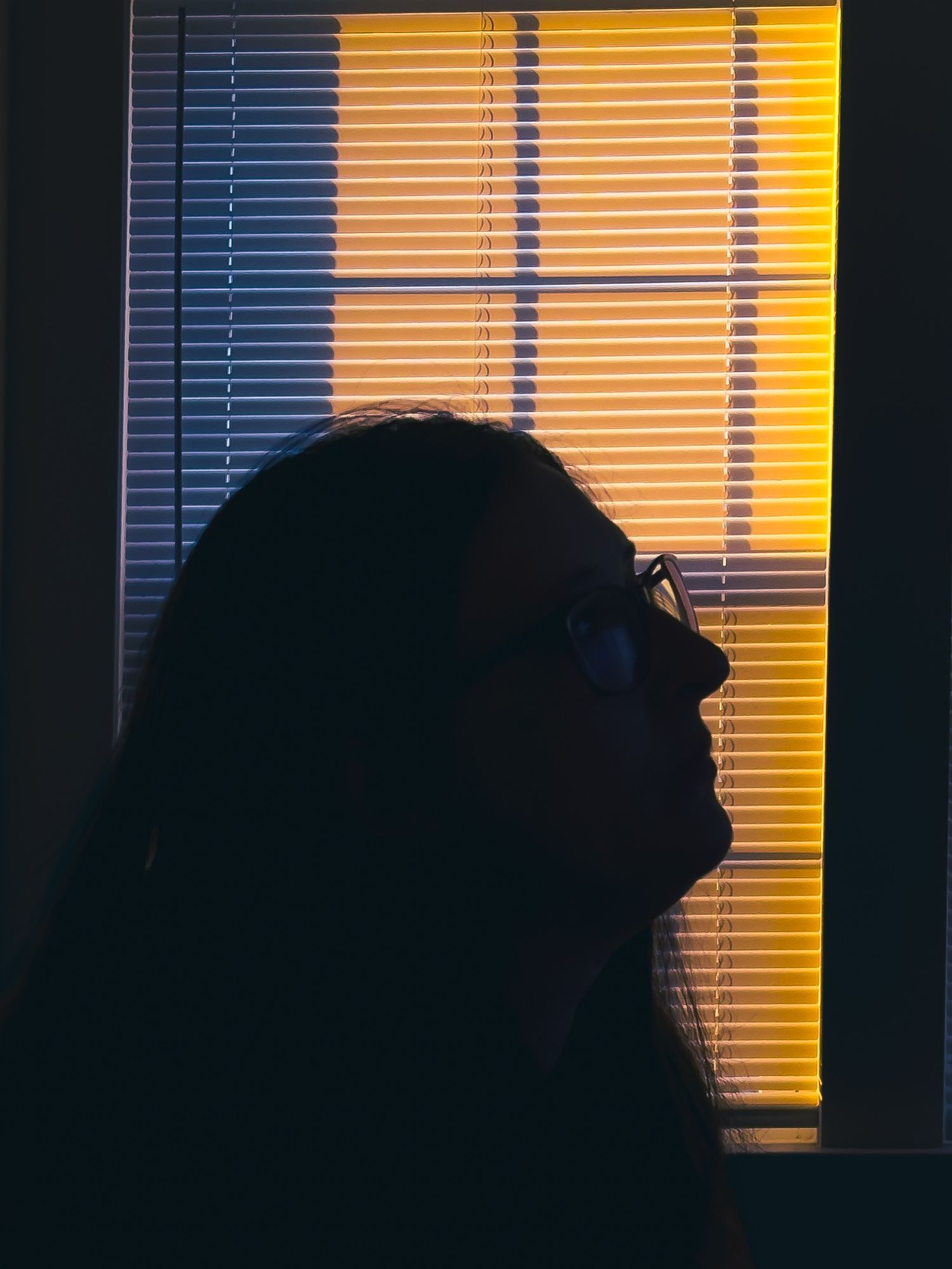 A silhouetted figure in profile against a window with golden light filtering through venetian blinds.