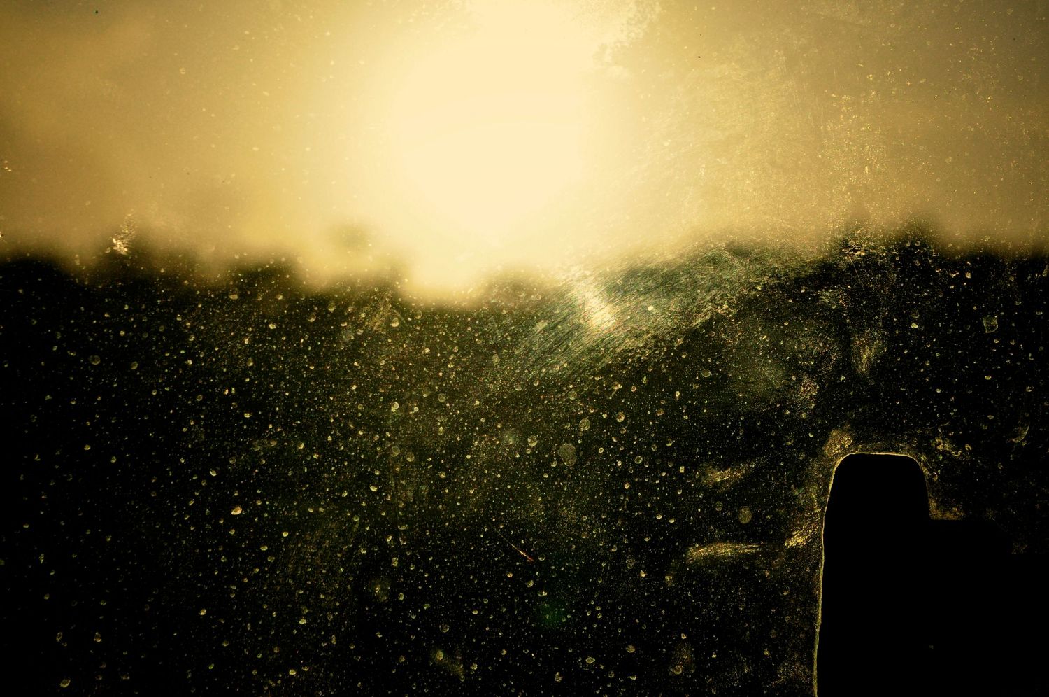 Rain-speckled window with golden sunset light filtering through dark trees in moody atmospheric scene.