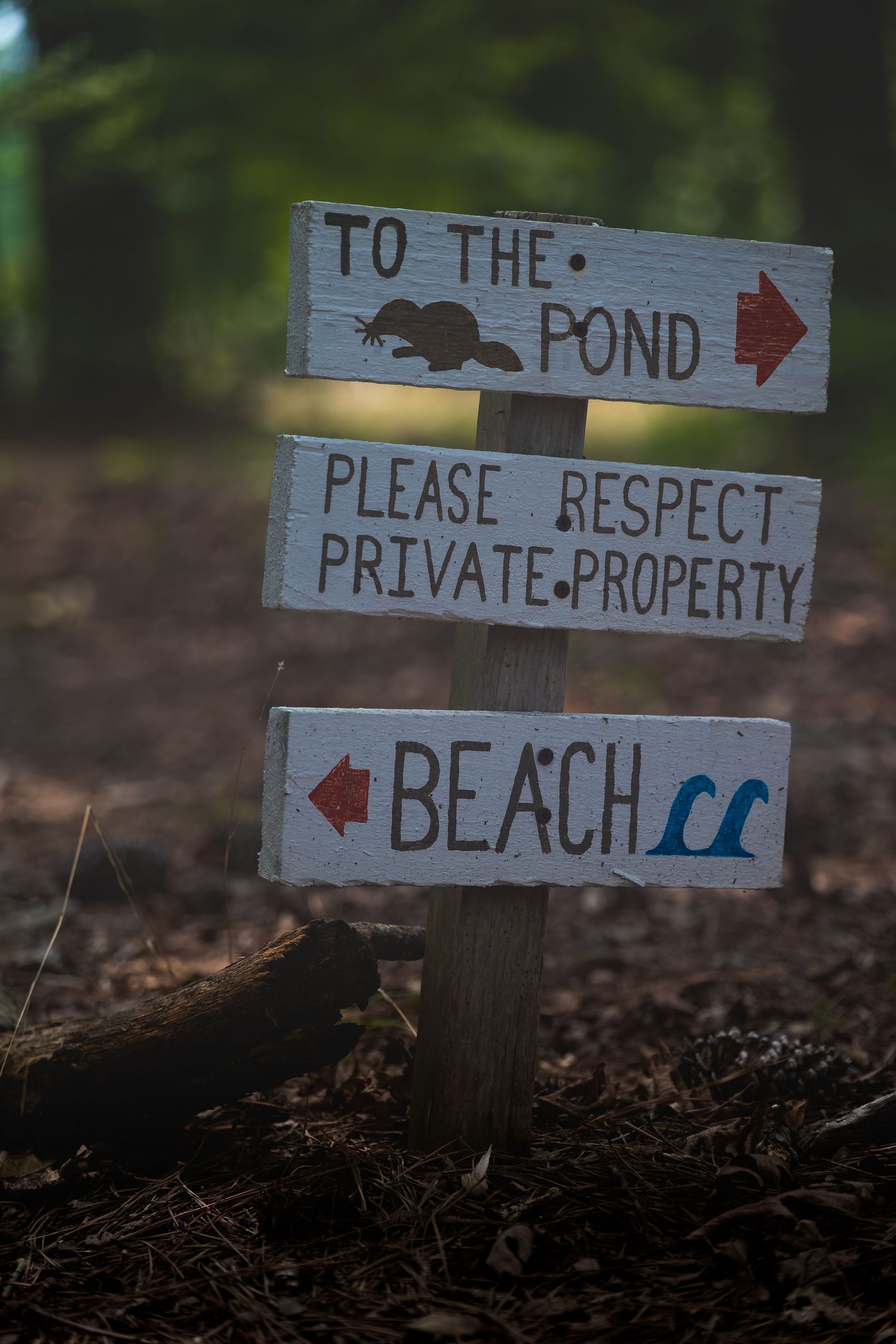 Rustic wooden directional signs pointing to pond and beach, with a please respect private property notice.