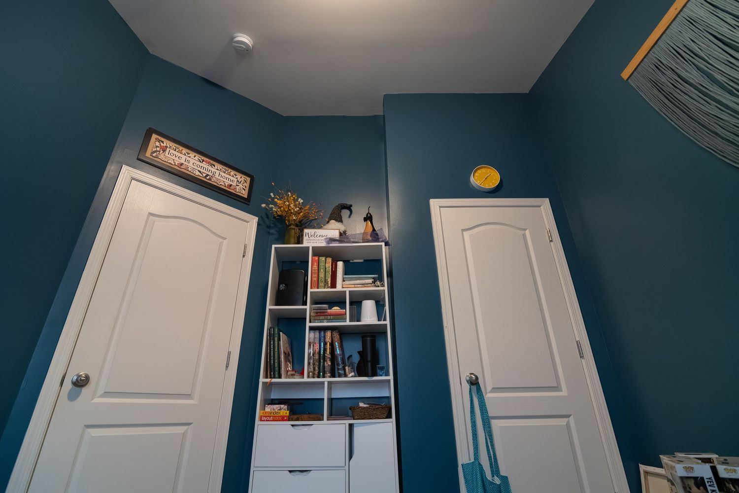 Blue-walled room with white bookshelf filled with books, two white doors, and hardwood floors in a modern home interior.