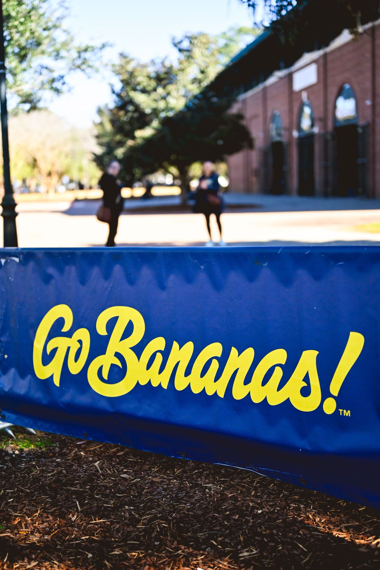 A blue wall with yellow text writing displayed in a series of connected photos showing different angles and perspectives.