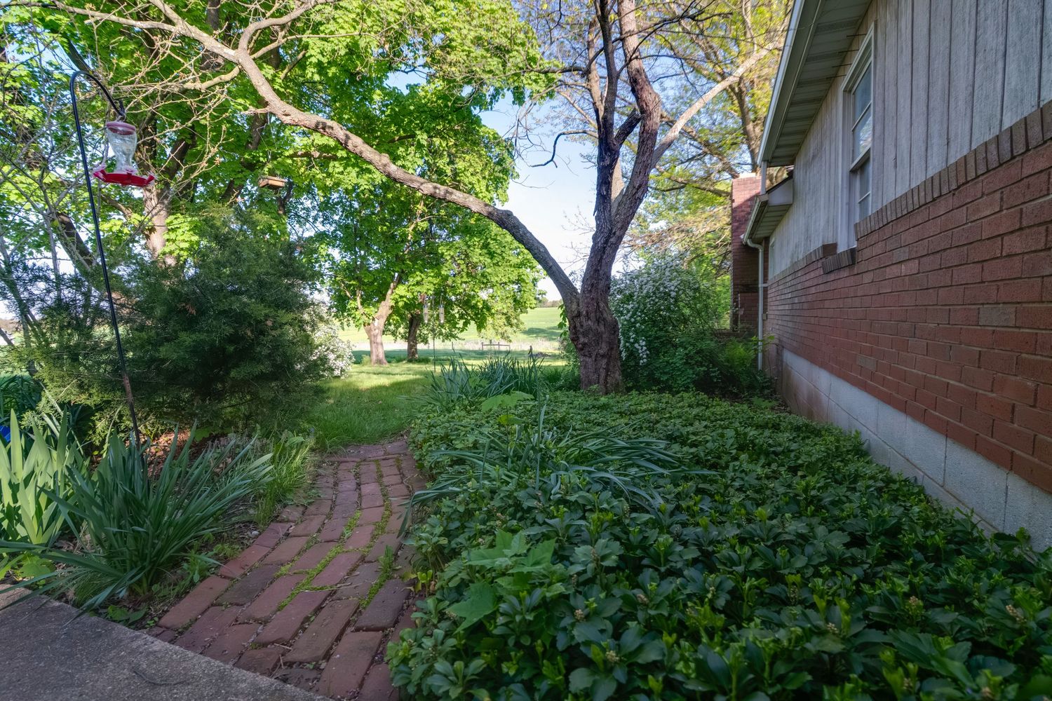 Brick pathway leads through lush green garden beside red brick home with mature shade trees.