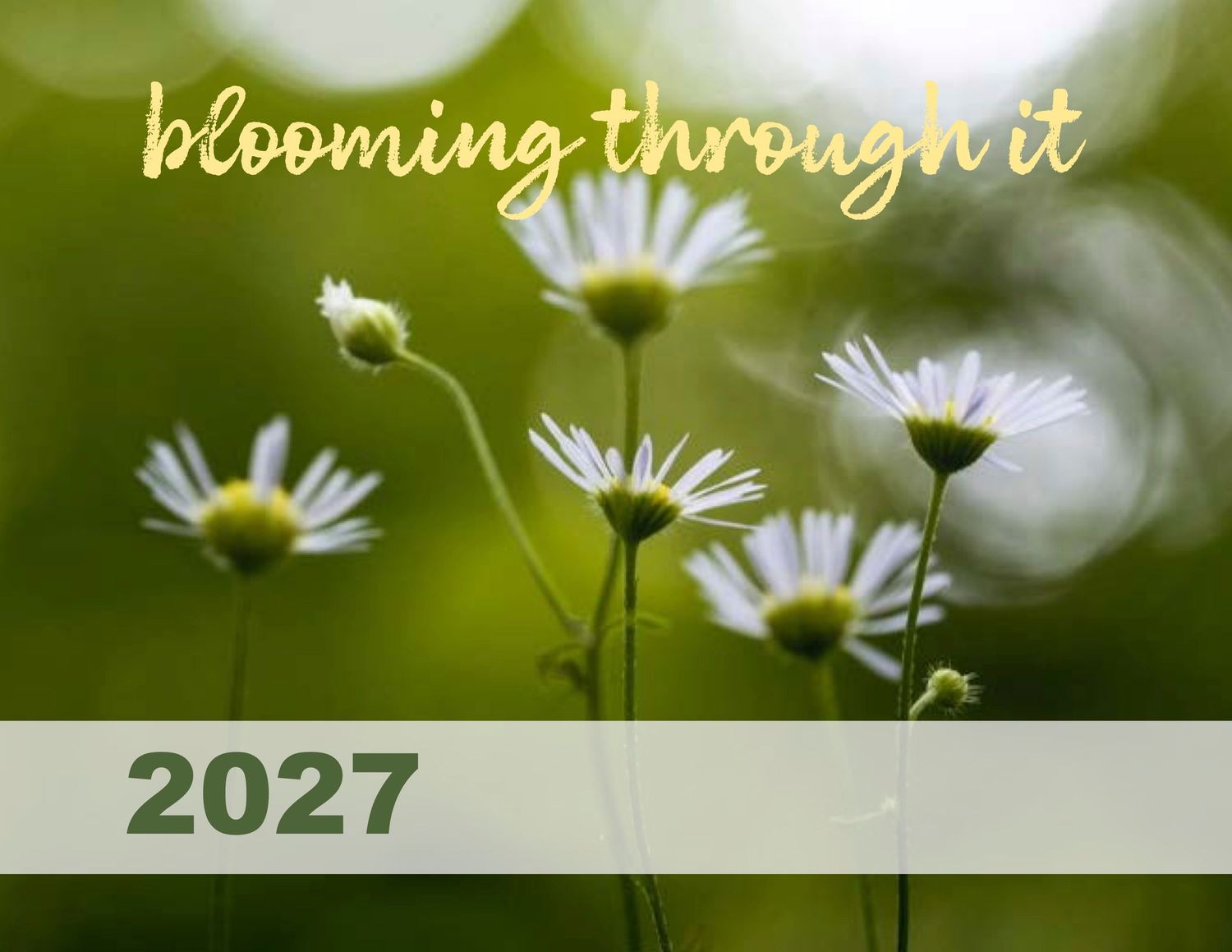 A 2027 calendar cover featuring white daisies on a green bokeh background with the text blooming through it.