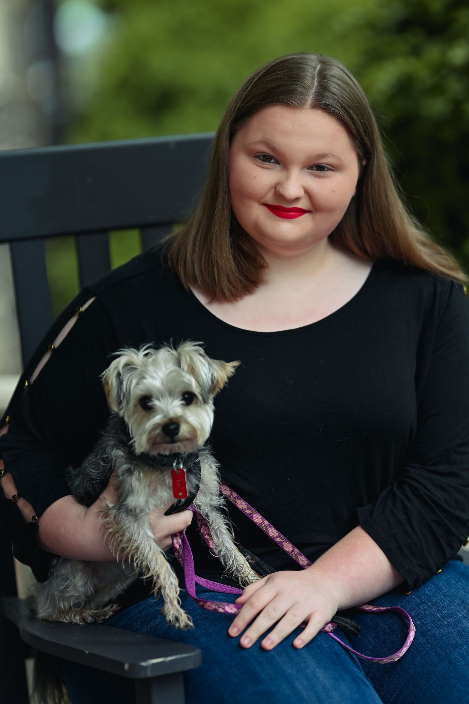 A small grey dog wearing a pink harness sits on a bench with someone wearing jeans and a black shirt.
