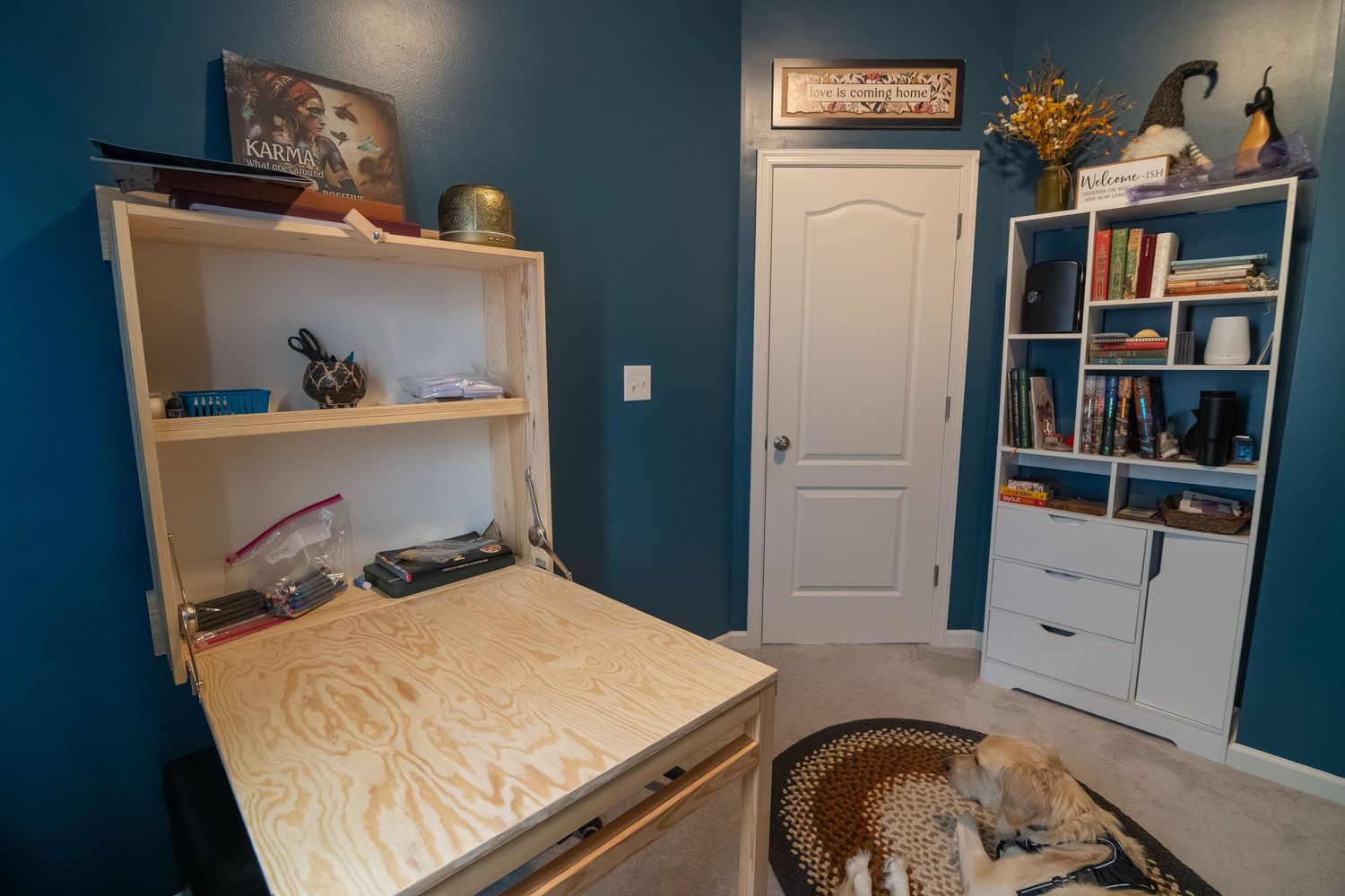 Murphy bed with built-in shelving in a teal blue home office with white bookcase and sleeping dog on area rug.