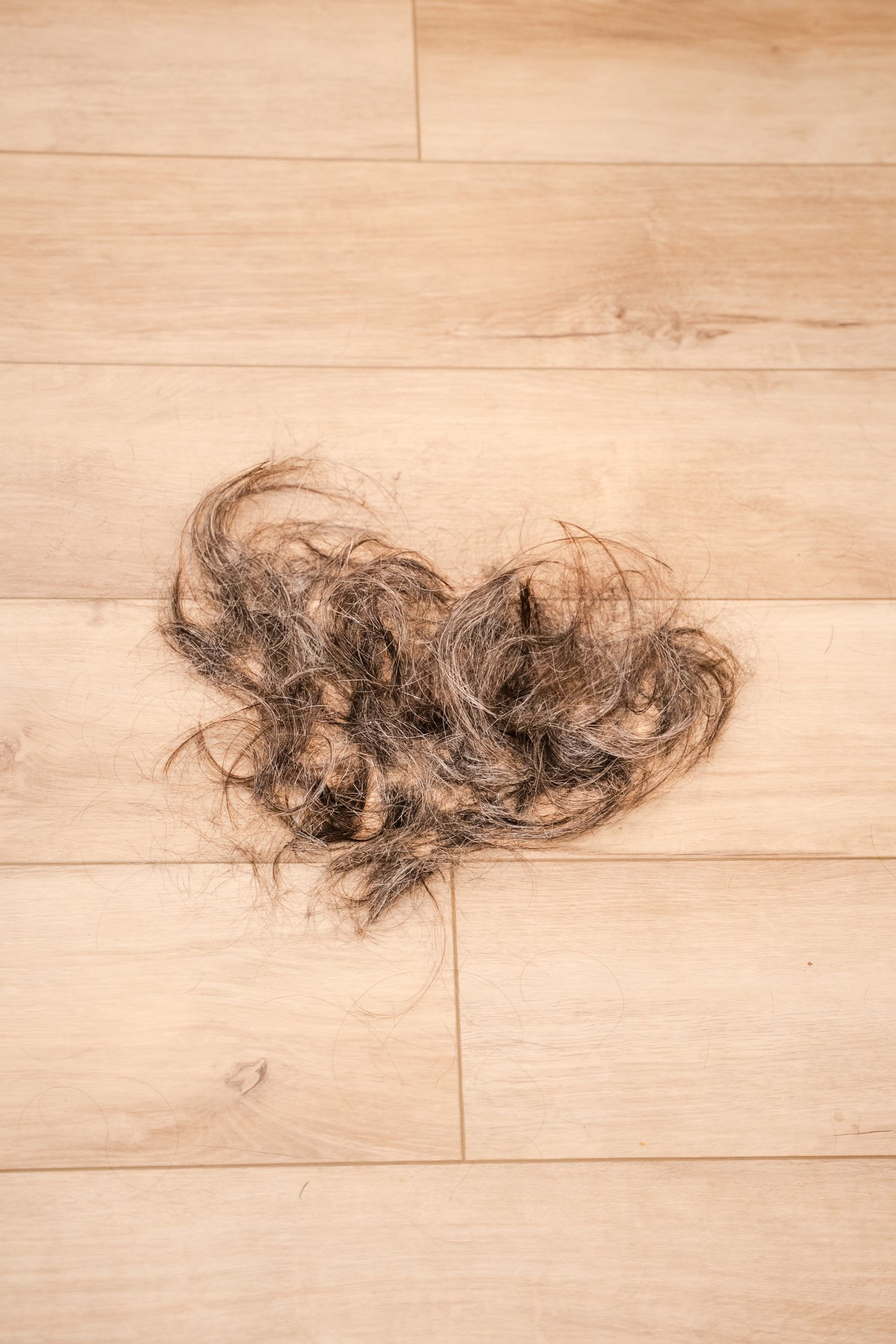 A clump of dark brown cut hair resting on a light wood laminate floor.