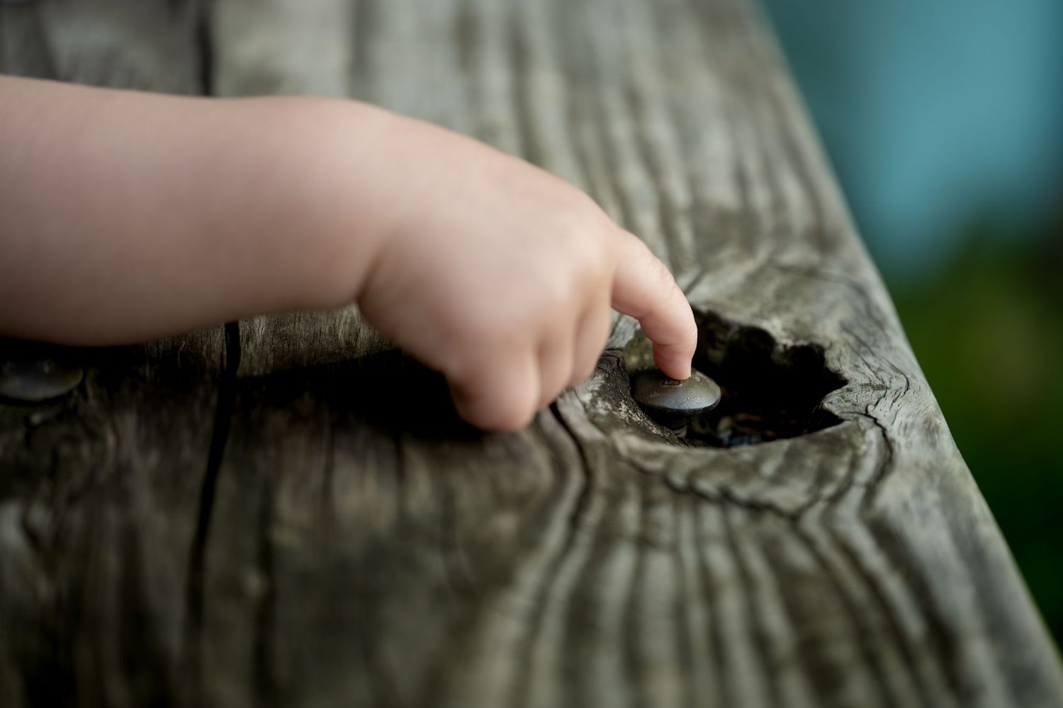 A small child's hand reaching into a knothole on a weathered wooden surface outdoors.