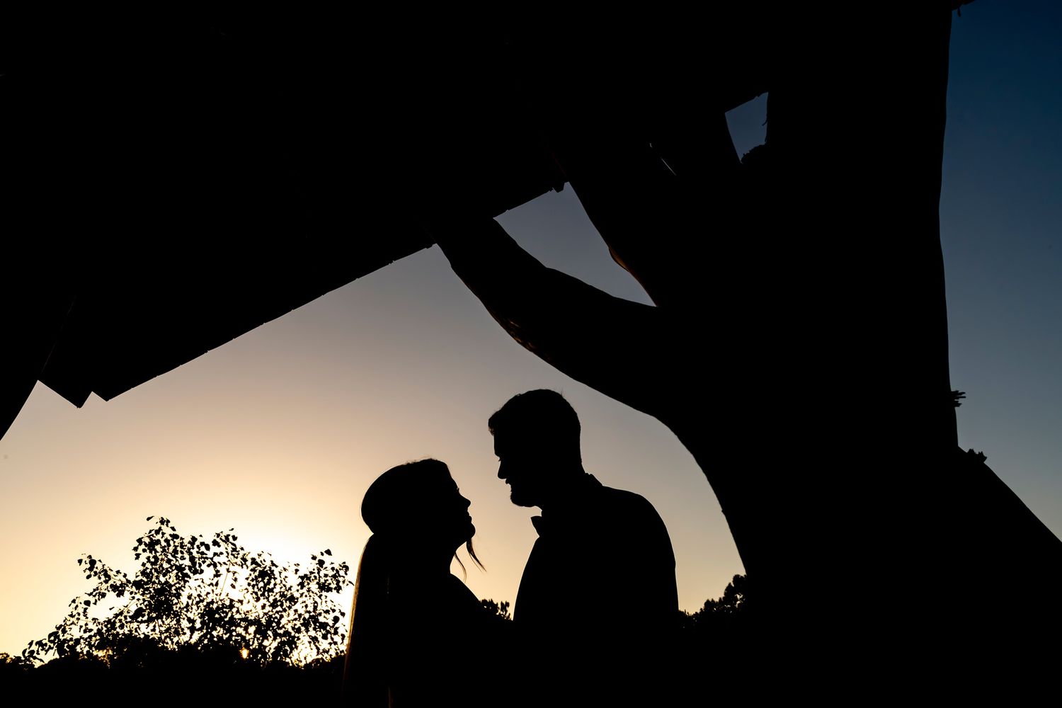 Silhouetted people gather in an outdoor evening setting with trees and cloudy sky in the background.