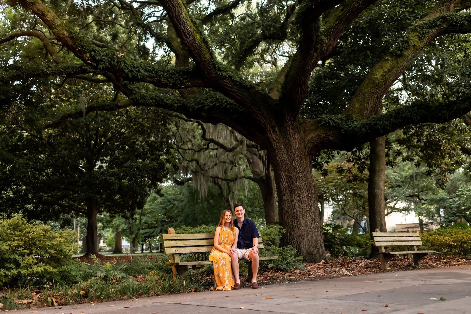 People stroll along a winding park path under majestic oak trees with sunlight filtering through the branches.