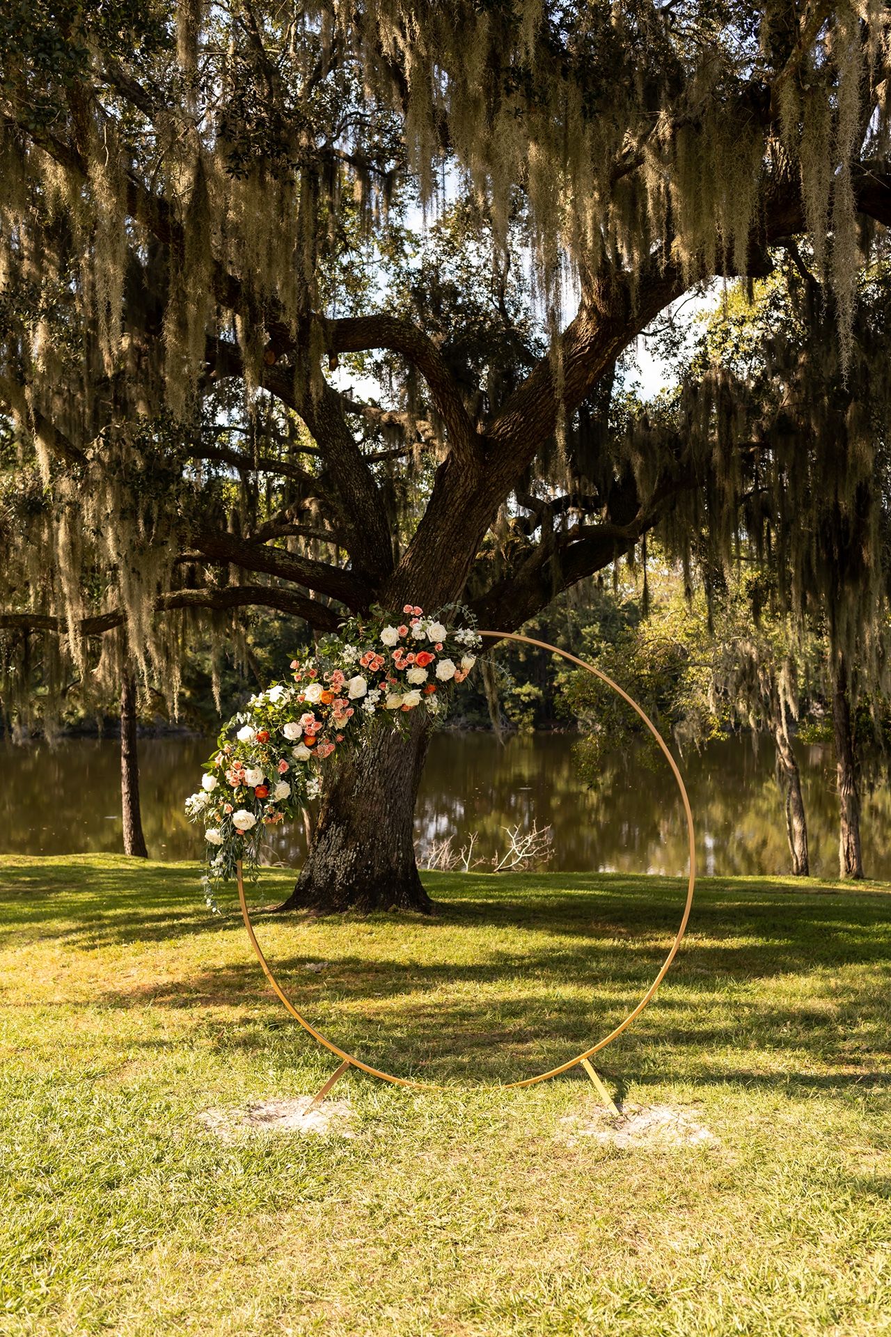 A golden circular wedding arch with floral arrangements stands on a grassy lawn beneath Spanish moss-draped oak trees.