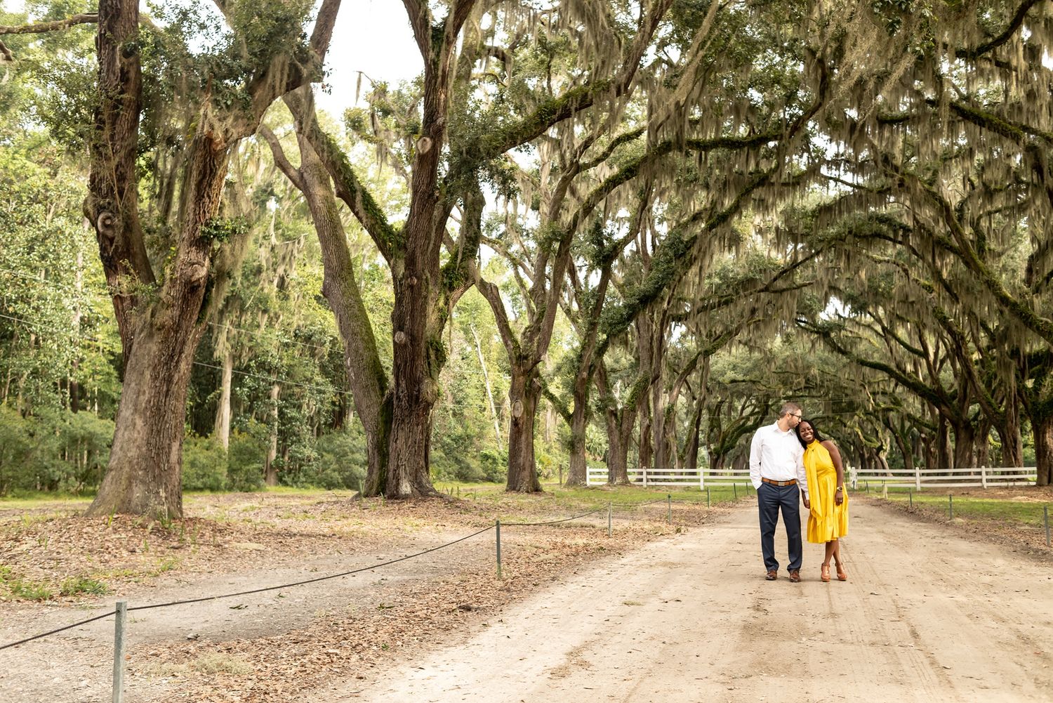 Moss-draped oak trees line a scenic pathway through a historic southern garden landscape.