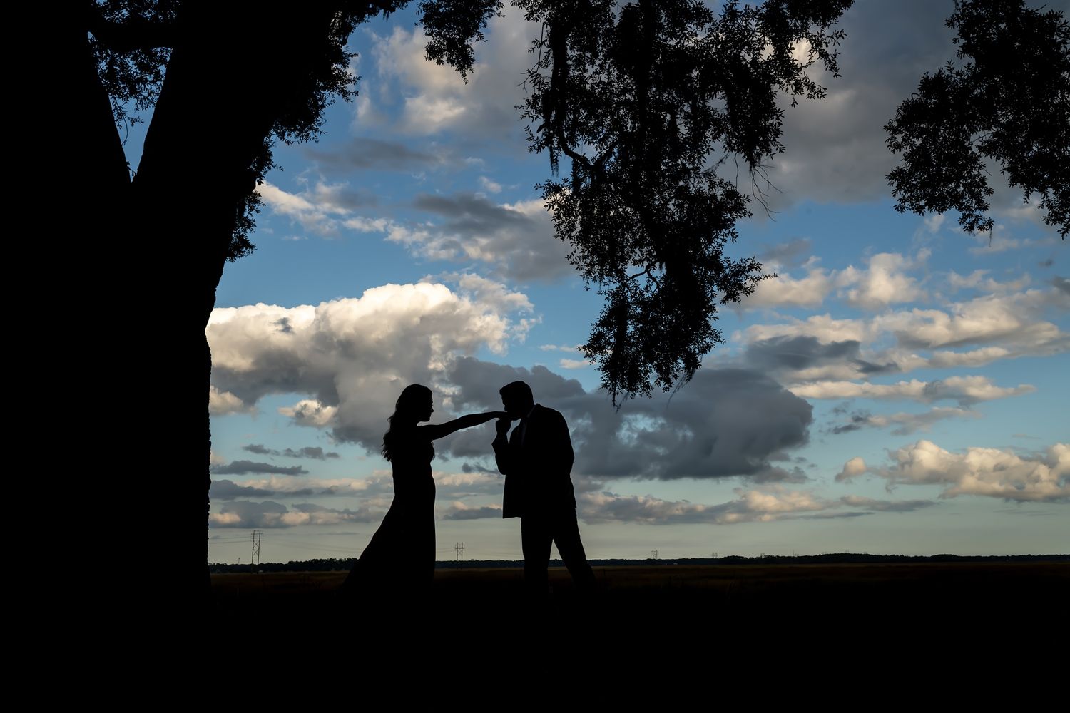Silhouettes of two people dancing together against a dramatic cloudy sunset sky with tree branches framing the scene.