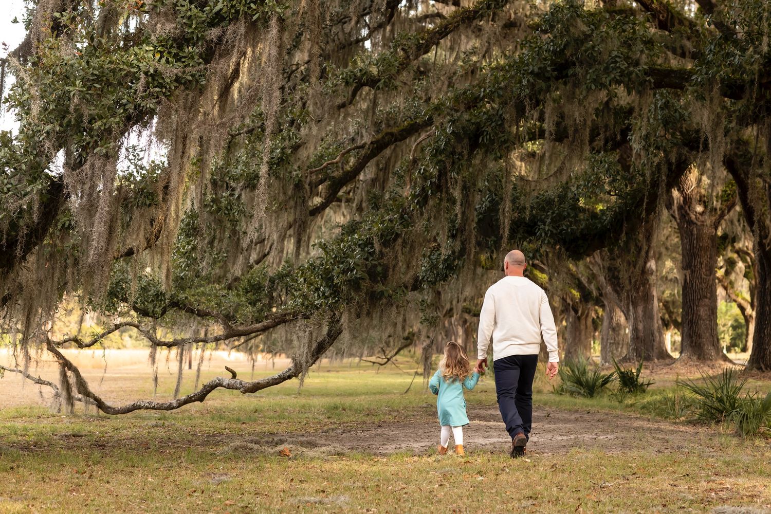 Adult and small child walk hand in hand beneath Spanish moss covered oak trees on a park path.