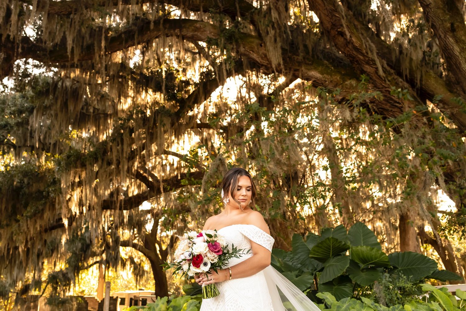 A person in a white wedding gown holds a bouquet while standing under Spanish moss draped trees at sunset.