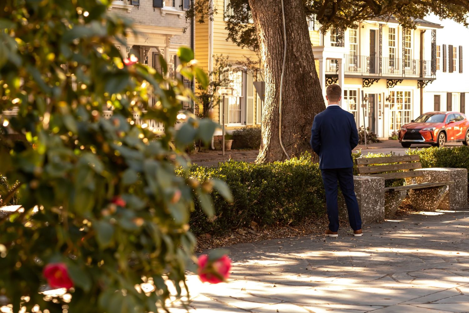 A person walks along a tree-lined sidewalk in a historic neighborhood on an autumn afternoon.